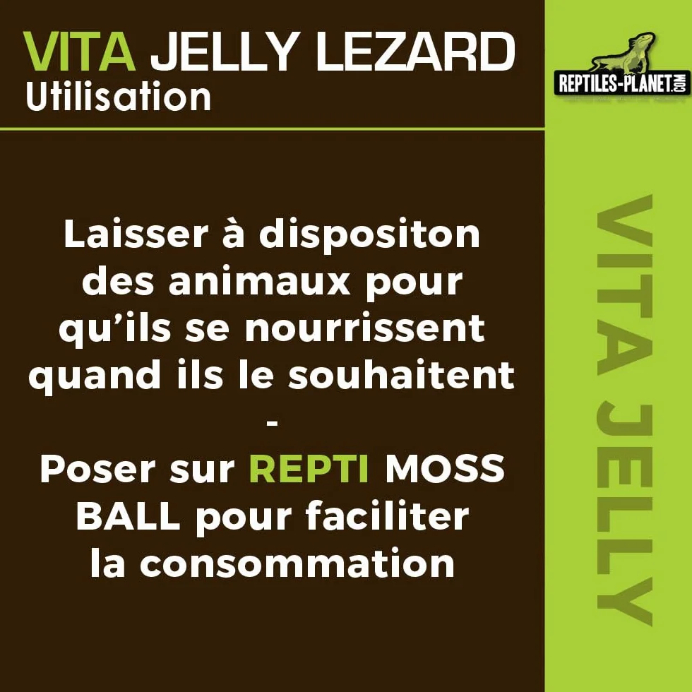 Reptiles Planet Vita Jelly Banane pour Lézard 10 pcs
