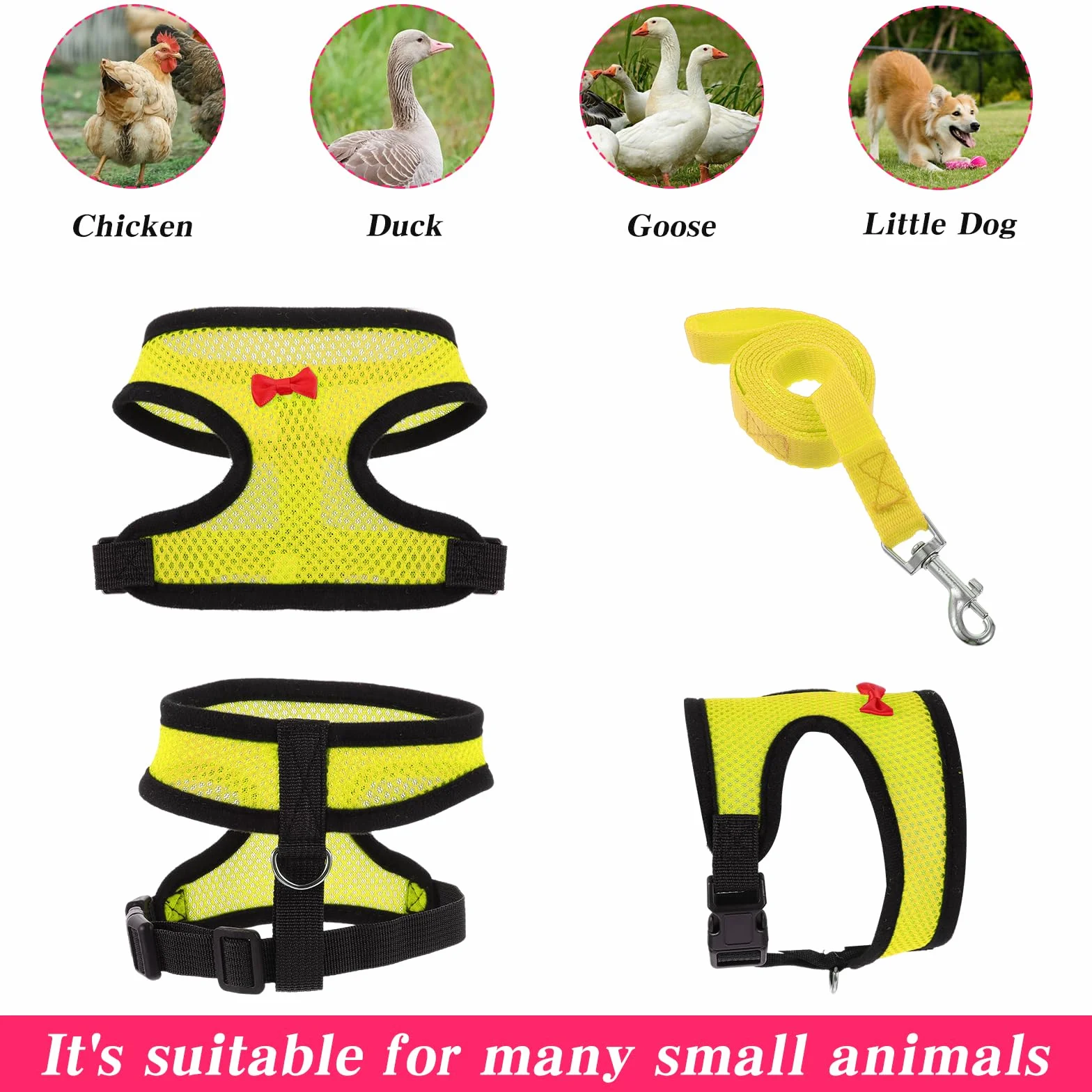 Harnais et laisse réglables en nylon pour poules canards oies petits animaux (rose, M)