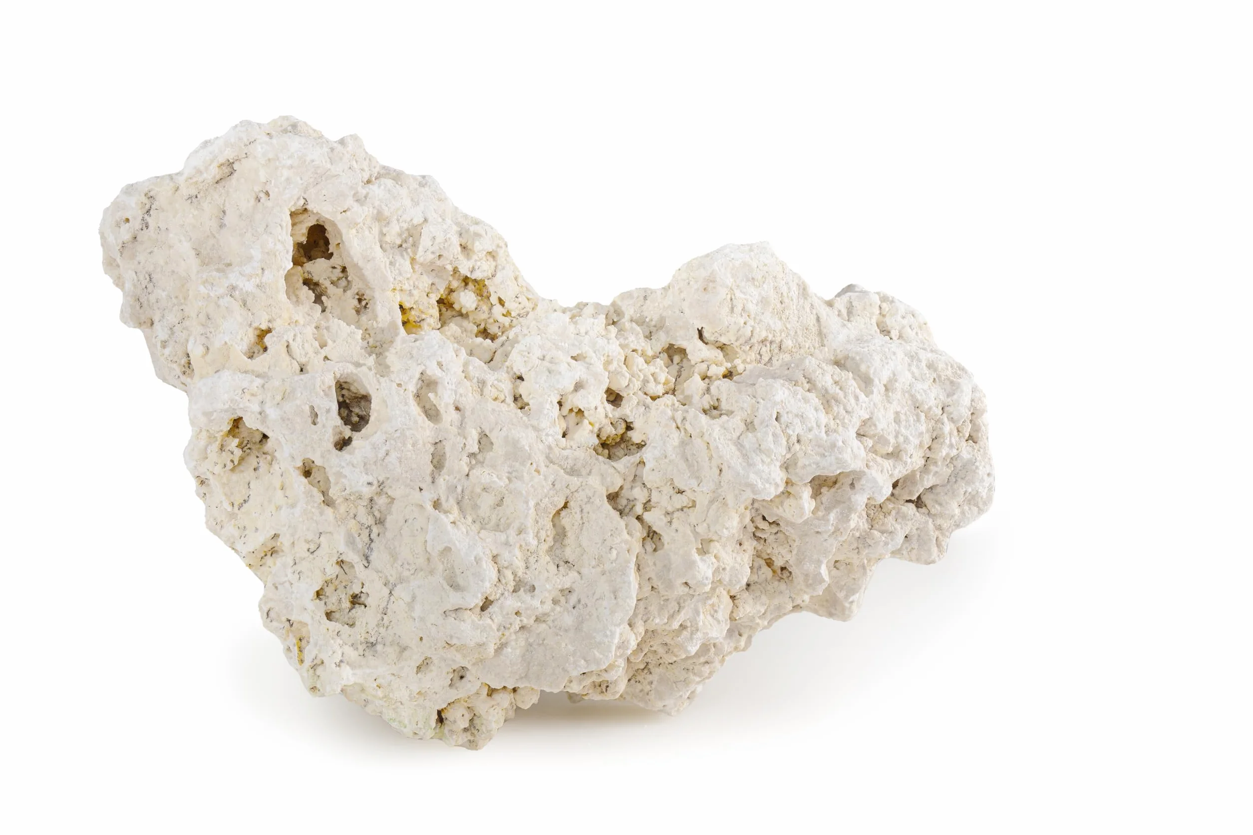 ARKA myREEF-Rocks 20kg Roches Naturelles pour Aquariums Marins