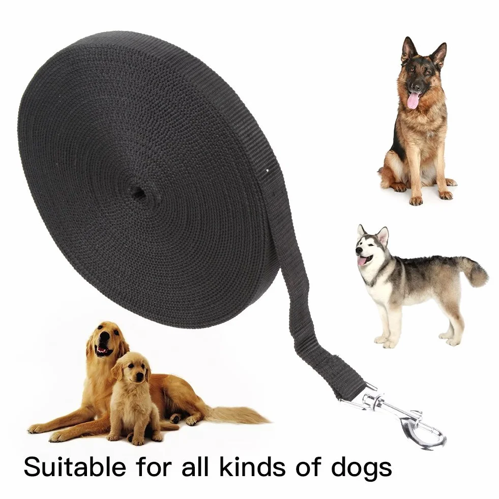 Minleer Longe pour Chien Nylon Corde 6M Noir