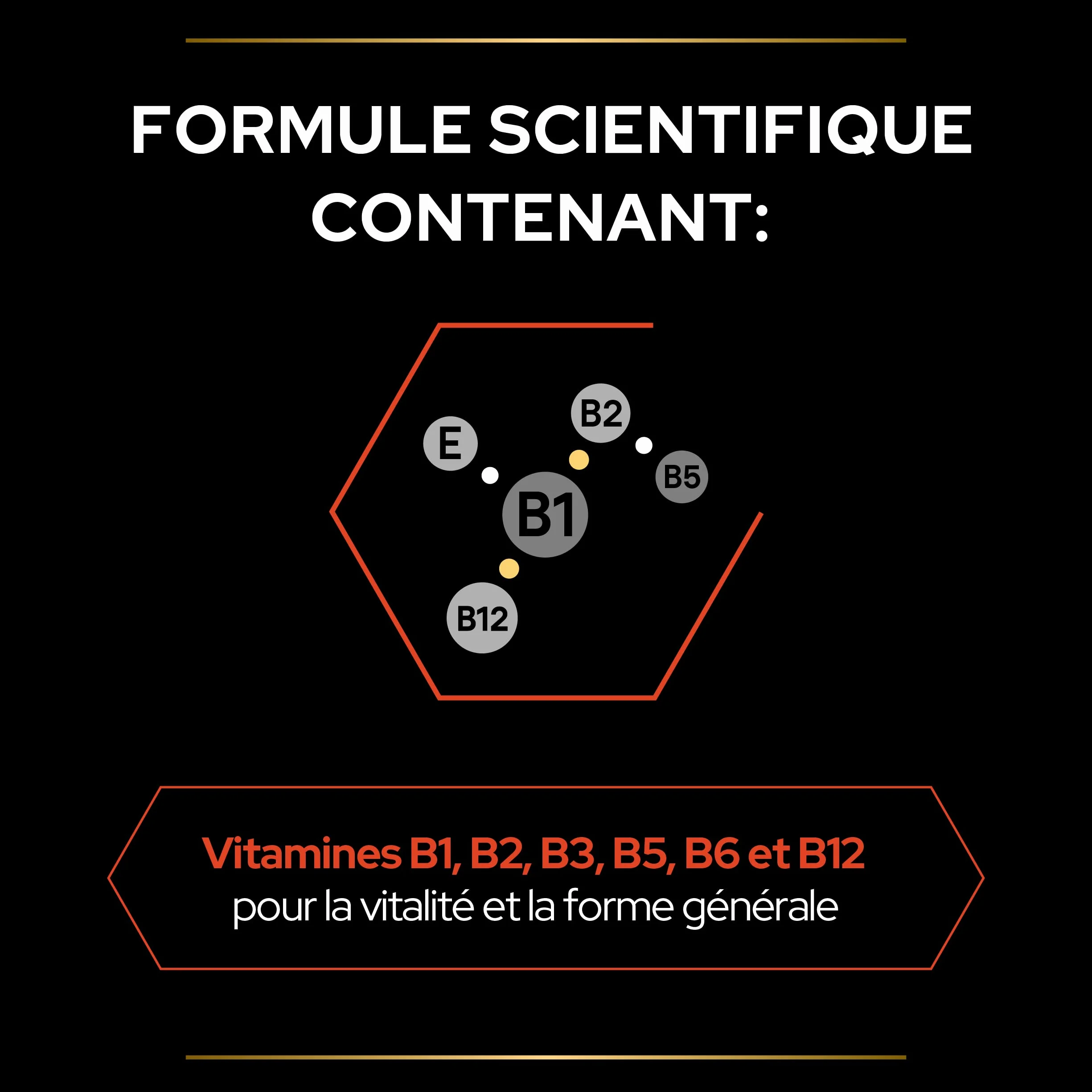 PURINA PRO PLAN Multivitamins+ Complément Alimentaire Chat Adulte Poudre 60g