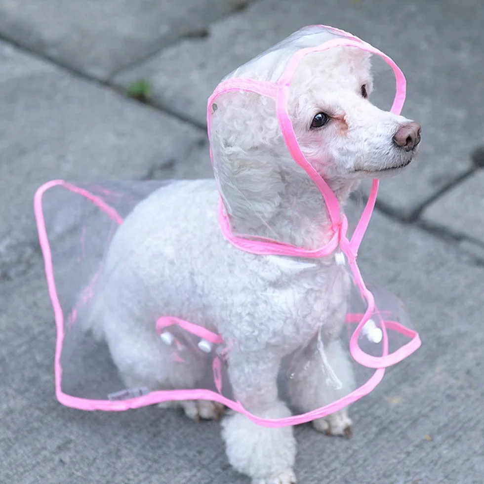 KoKoBin Manteau imperméable pour chiens et chats petite taille PVC transparent capuche réglable