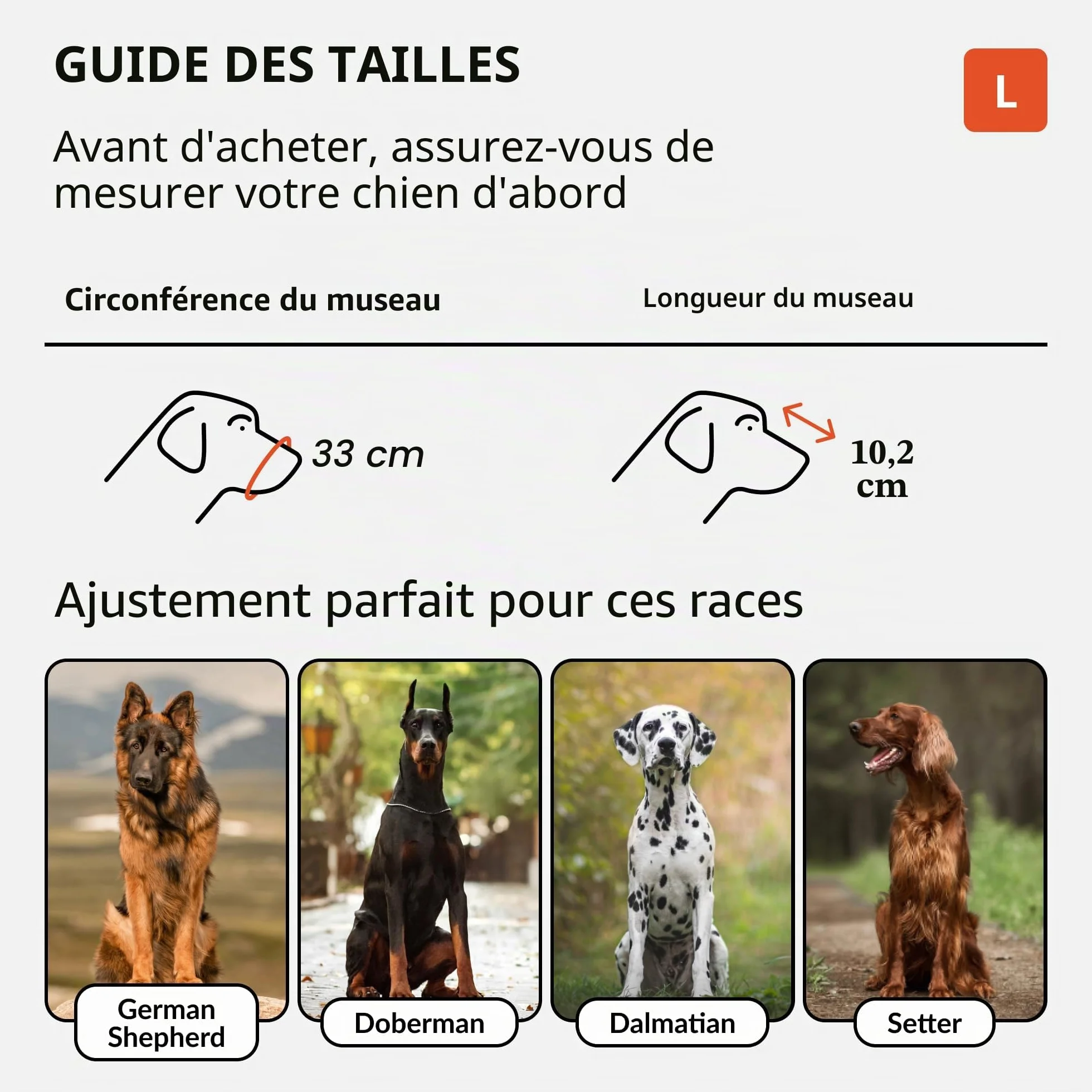 CollarDirect Muselière pour Chien Berger Allemand Dalmatien Doberman Setter Panier en Cuir Medium Large Breeds Black Brown (L, Black)