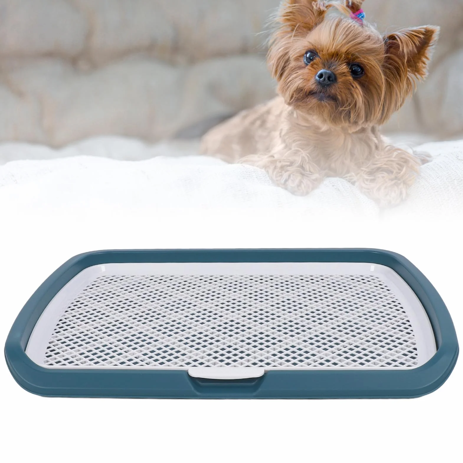 Bac à Litière pour Chien, Plateau de Pot pour Chien, Dressage de Toilettes pour Chien, Support pour Pipi, Support pour Pipi pour Chiot, Plateau en, Plateau de Toilette