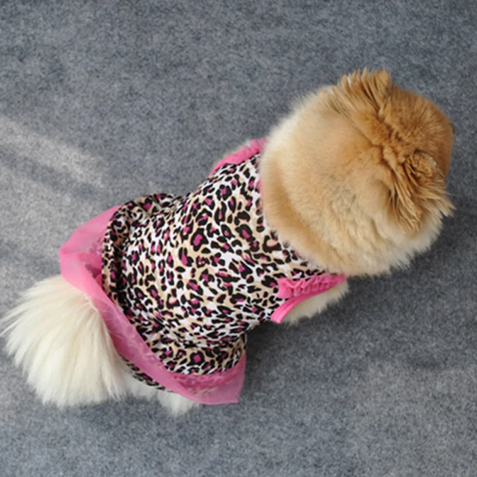 Robe d'été à motif léopard pour petits chiens et chats XS