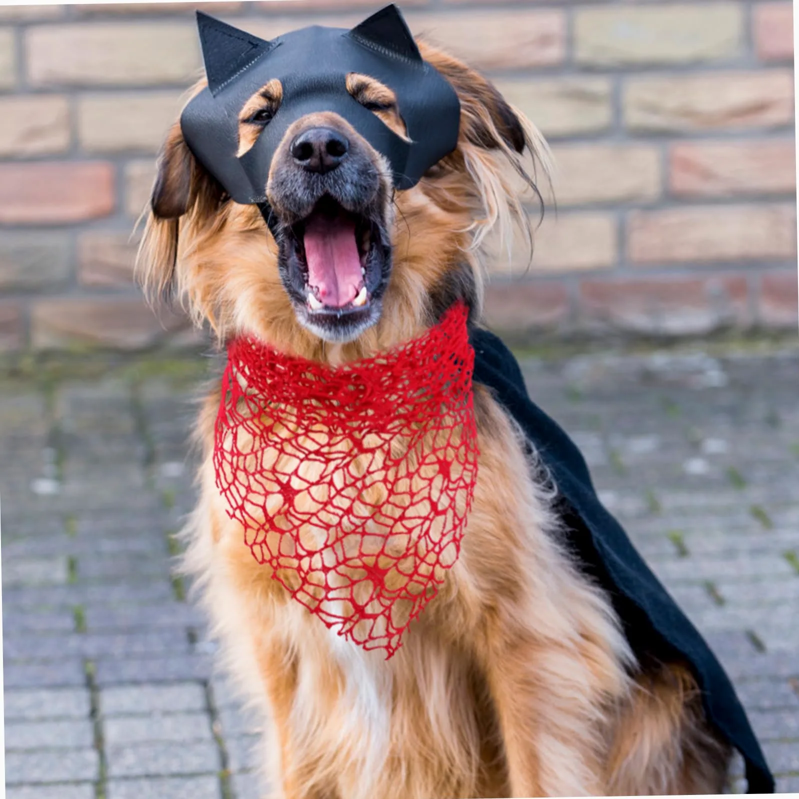 Bandana Mignon pour Chien Halloween, Lot de 2, Polyester Rouge | Bandeau Araignée, Accessoires pour Chiens Halloween, Costume Halloween pour Chien