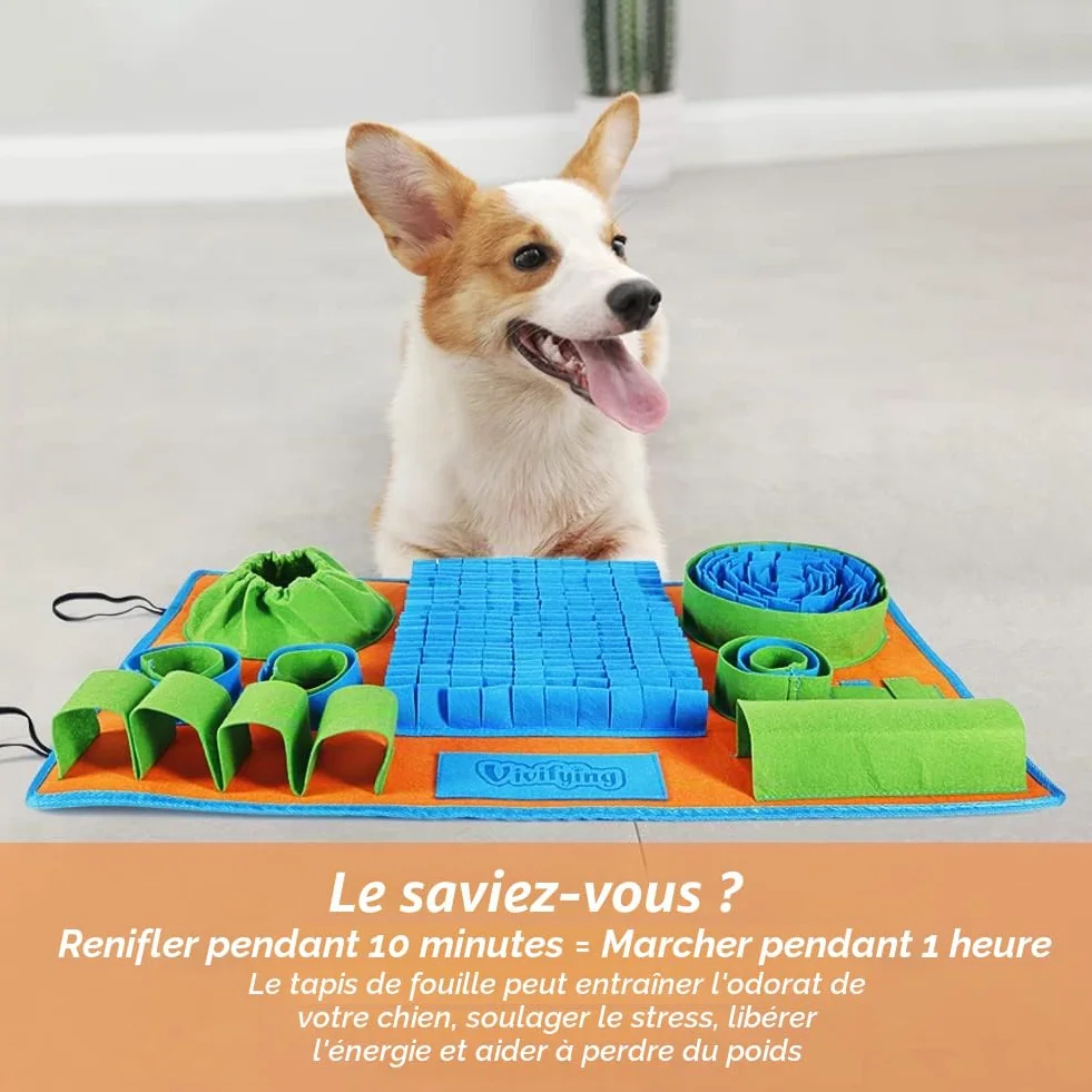 Tapis à renifler pour chiens jeu d'alimentation interactif stimulation mentale