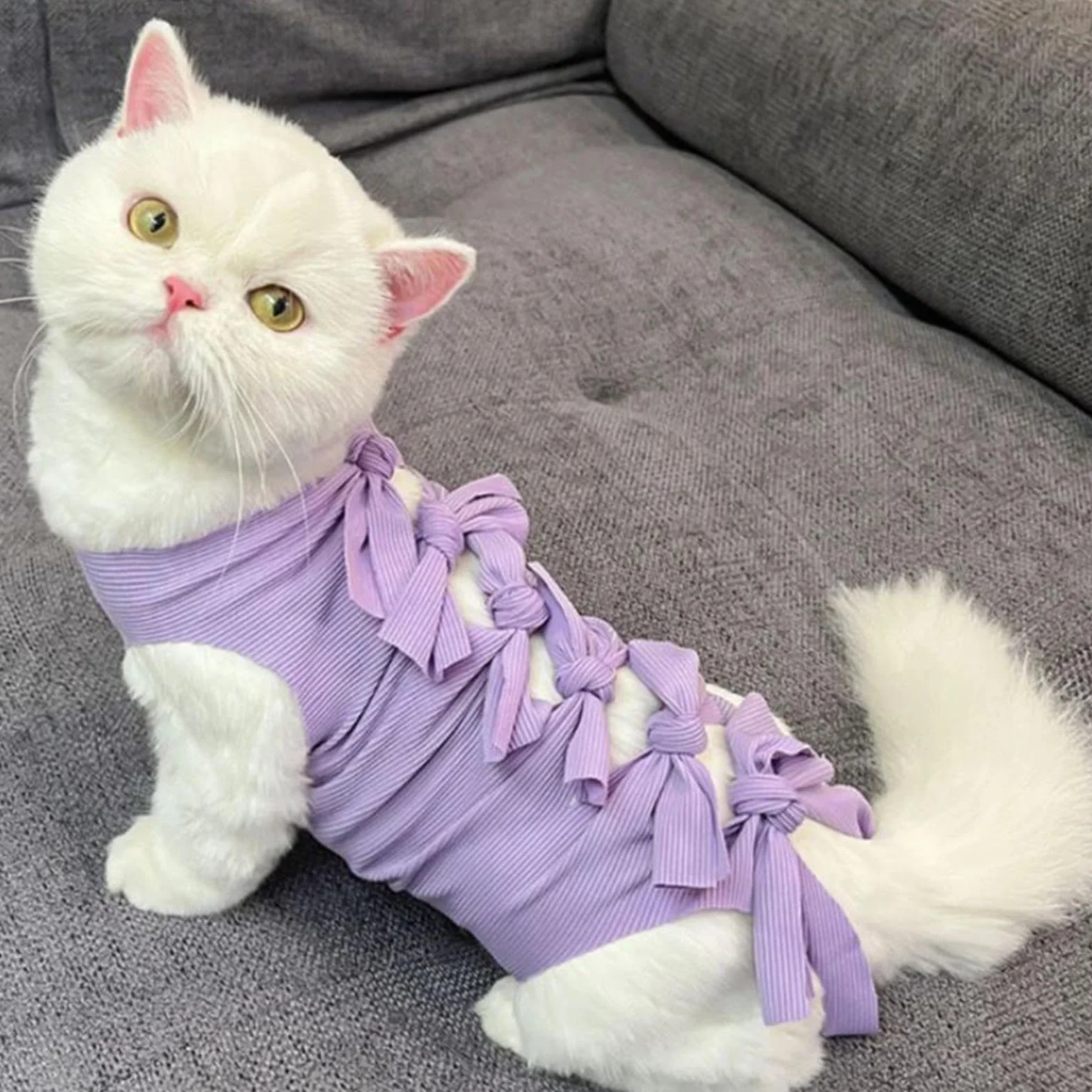 Combinaison Chirurgicale Réparatrice pour Chat Femelle Respirante | Vêtement de Protection Anti-Léchage pour Chats