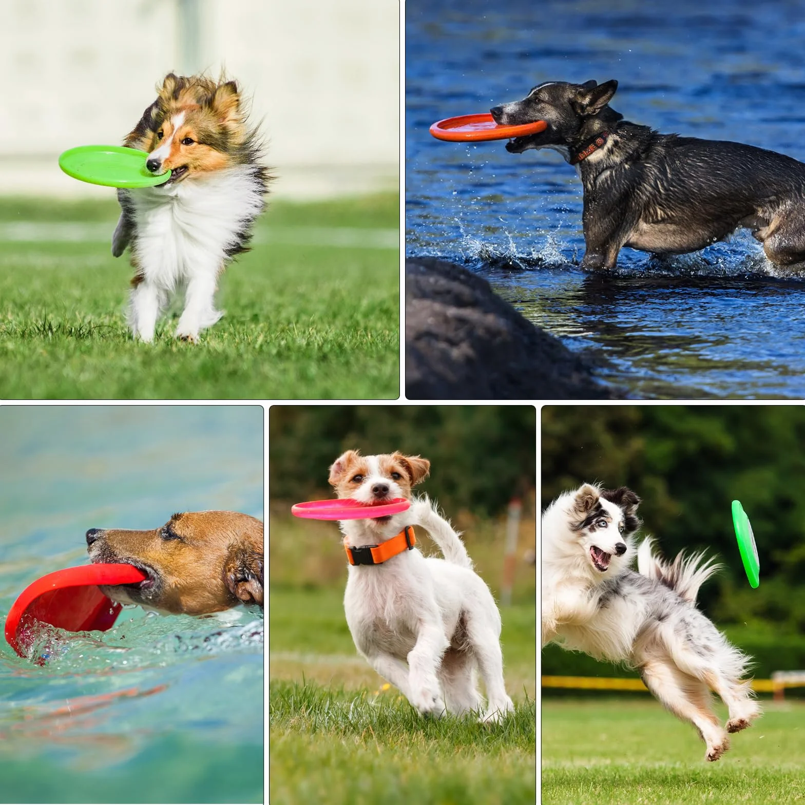 TNSLAND Frisbee Lot de 3 en Caoutchouc Naturel pour Chien 15 cm, Dog Disc