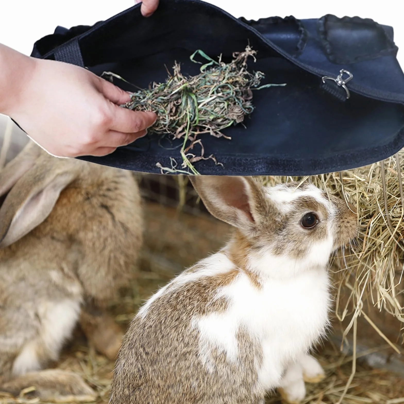Sac à Foin Suspendu pour Lapin Cochon d'Inde avec 4 Fenêtres, Noir
