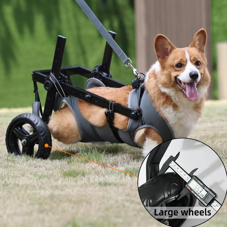 Chaise à roulettes pour chien chariot réglable pattes arrière mobilité 14-20KG