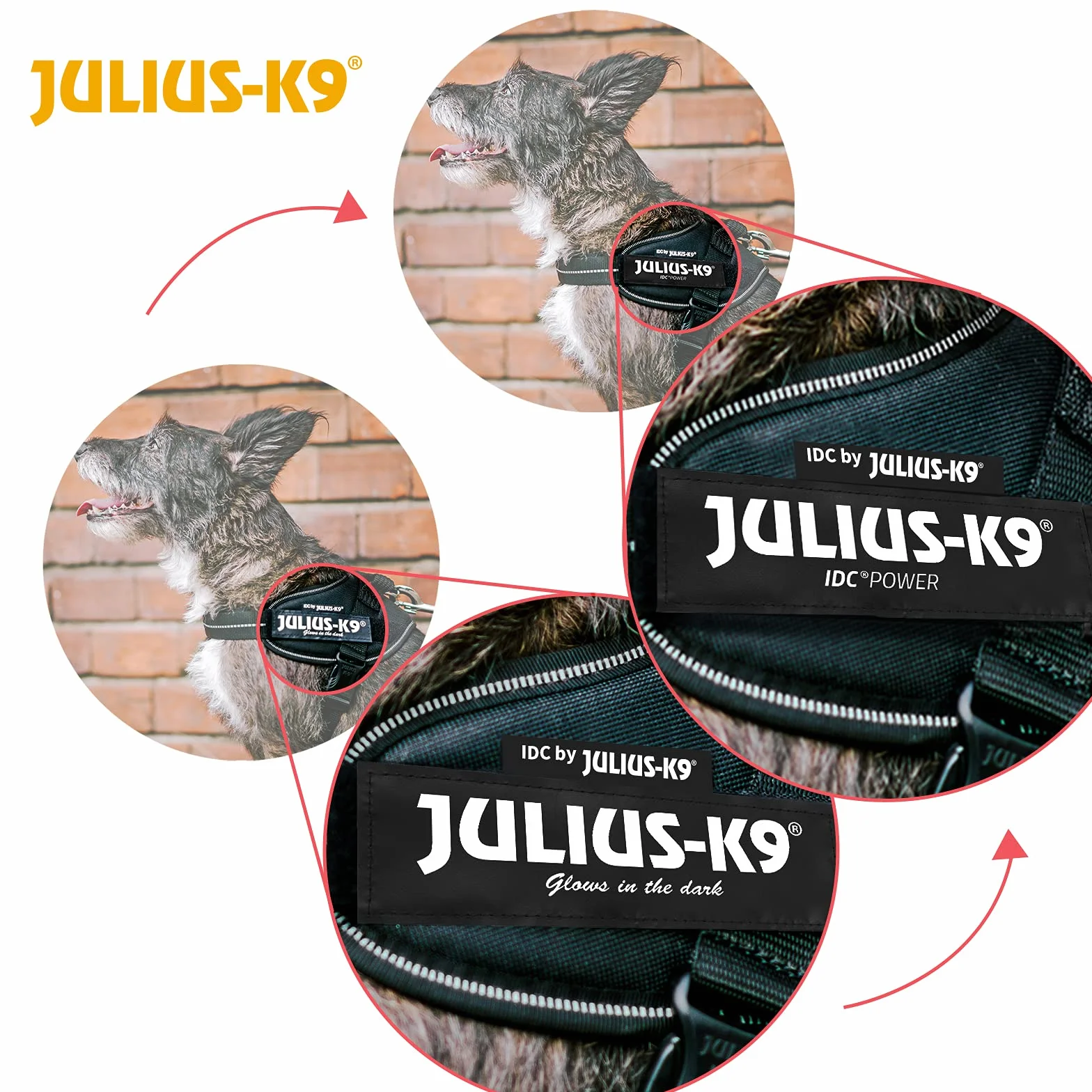 Julius K-9 Harnais IDC Power Taille 2 Noir