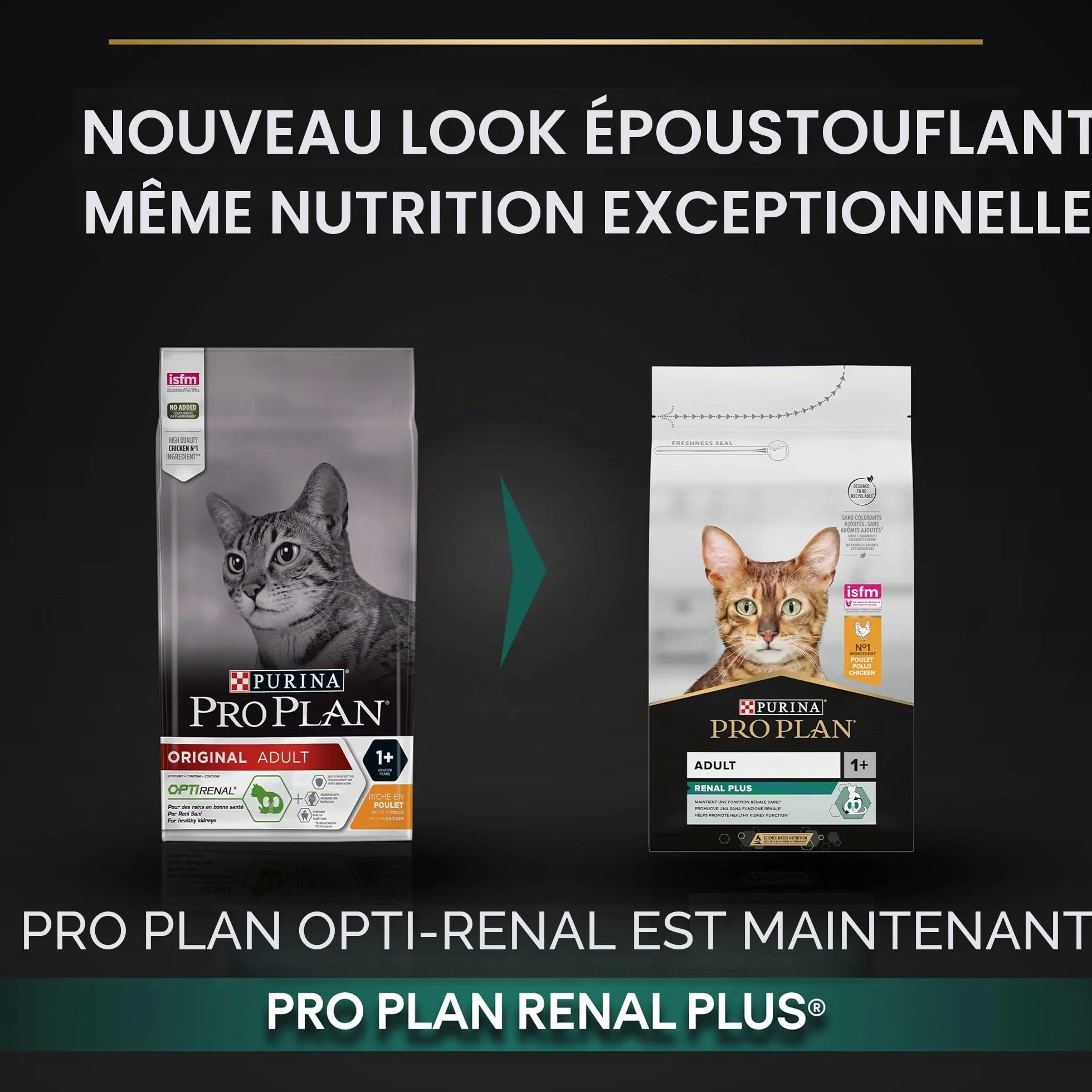 Pro Plan Adult RENAL PLUS Poulet 10kg