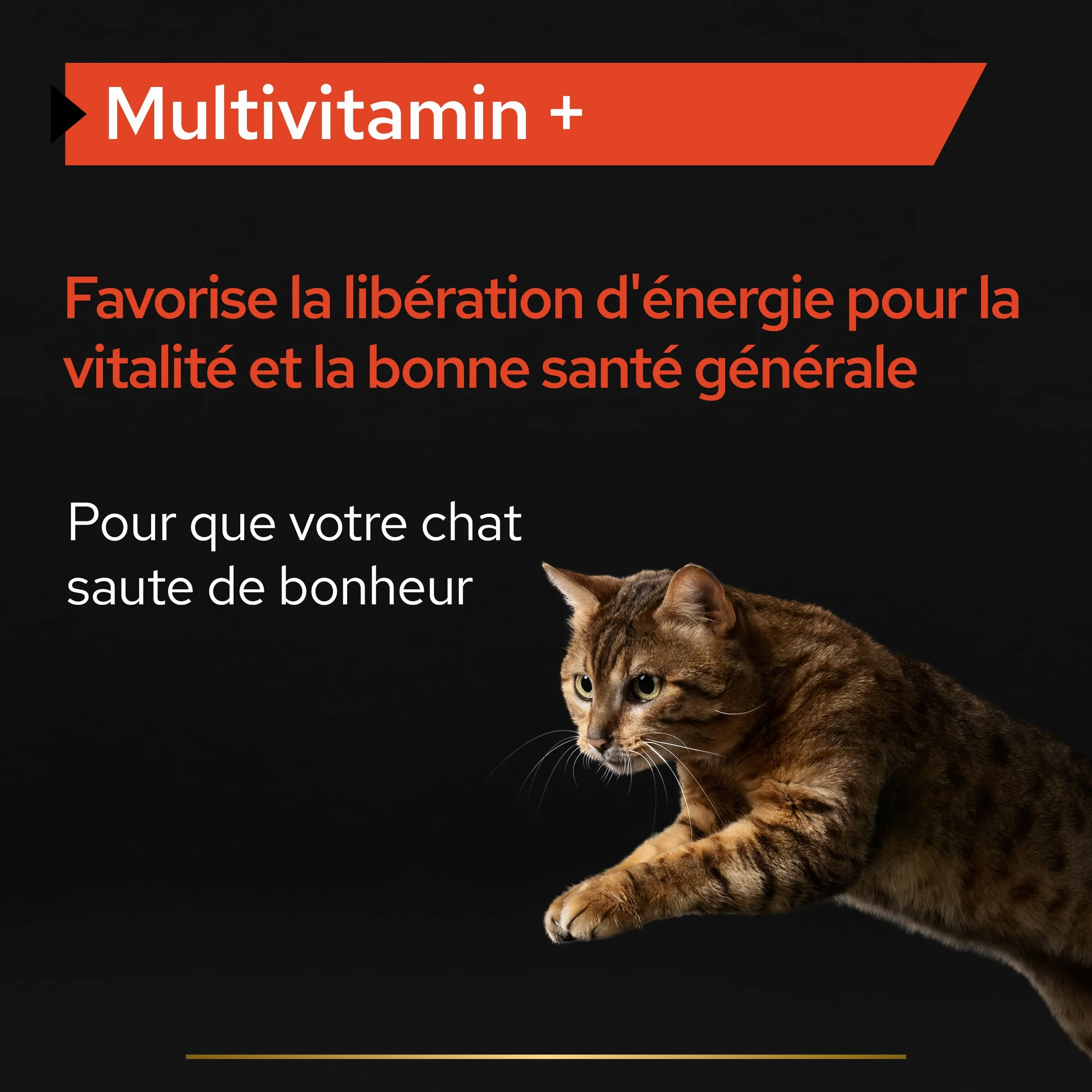PURINA PRO PLAN Multivitamins+ Complément Alimentaire Chat Adulte Poudre 60g