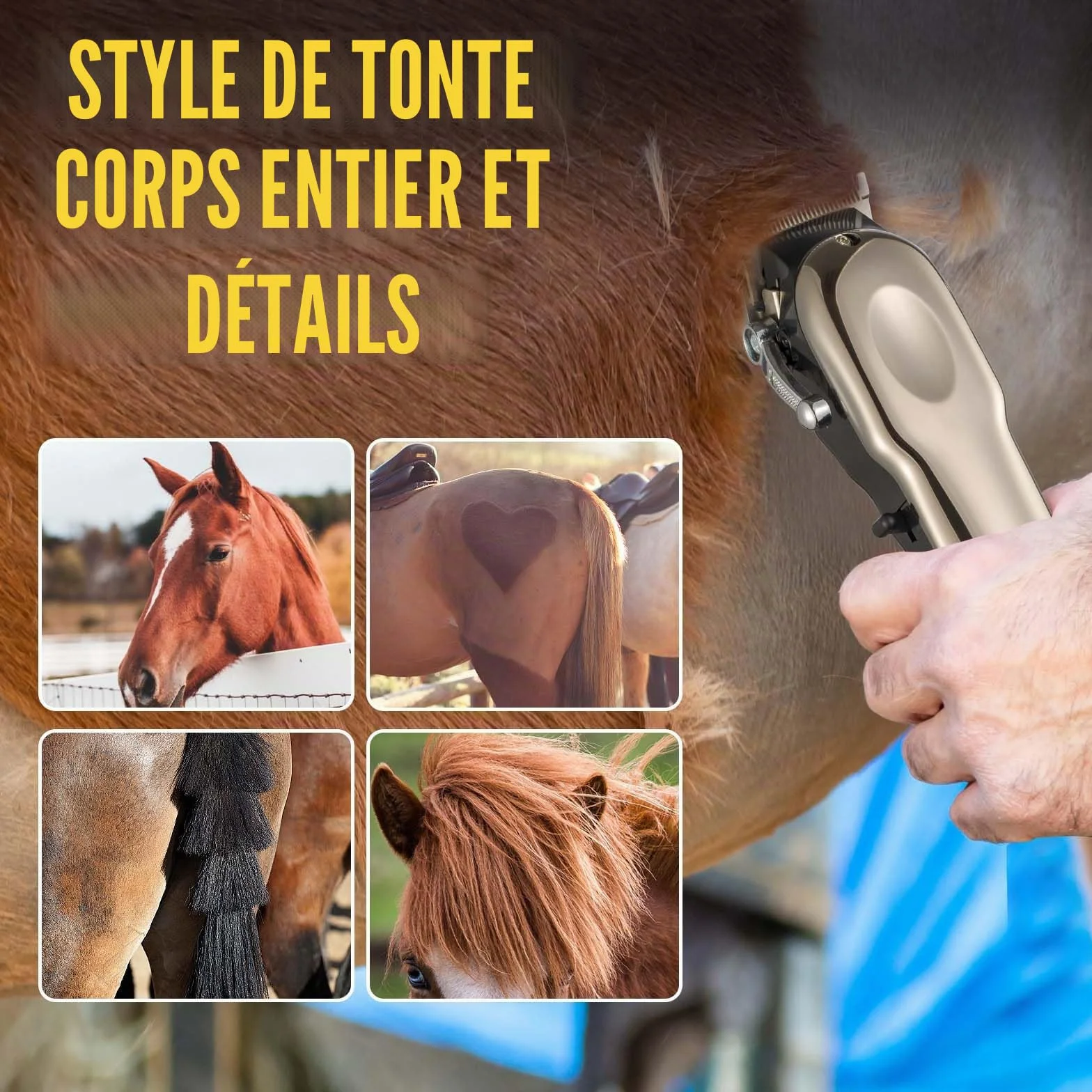Tondeuse Sans Fil Professionnelle pour Chevaux - Électrique Rechargeable Toilettage Silencieuse - Tondeuse Animaux Poil Long - 4 Guides Inclus