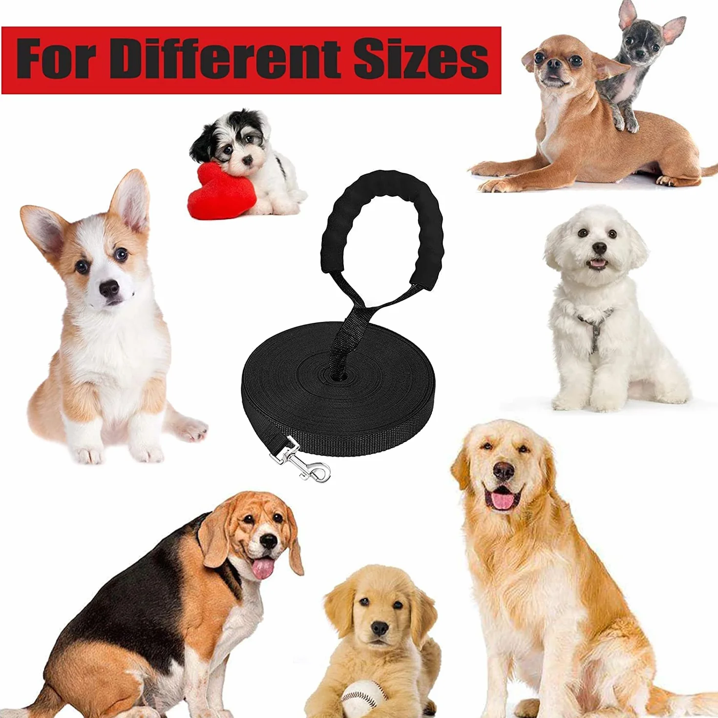 Longe pour Chien 50m Noir Laisse de Dressage Poignée Rembourrée Formation Marche Longue Chiens Petites Grandes Tailles