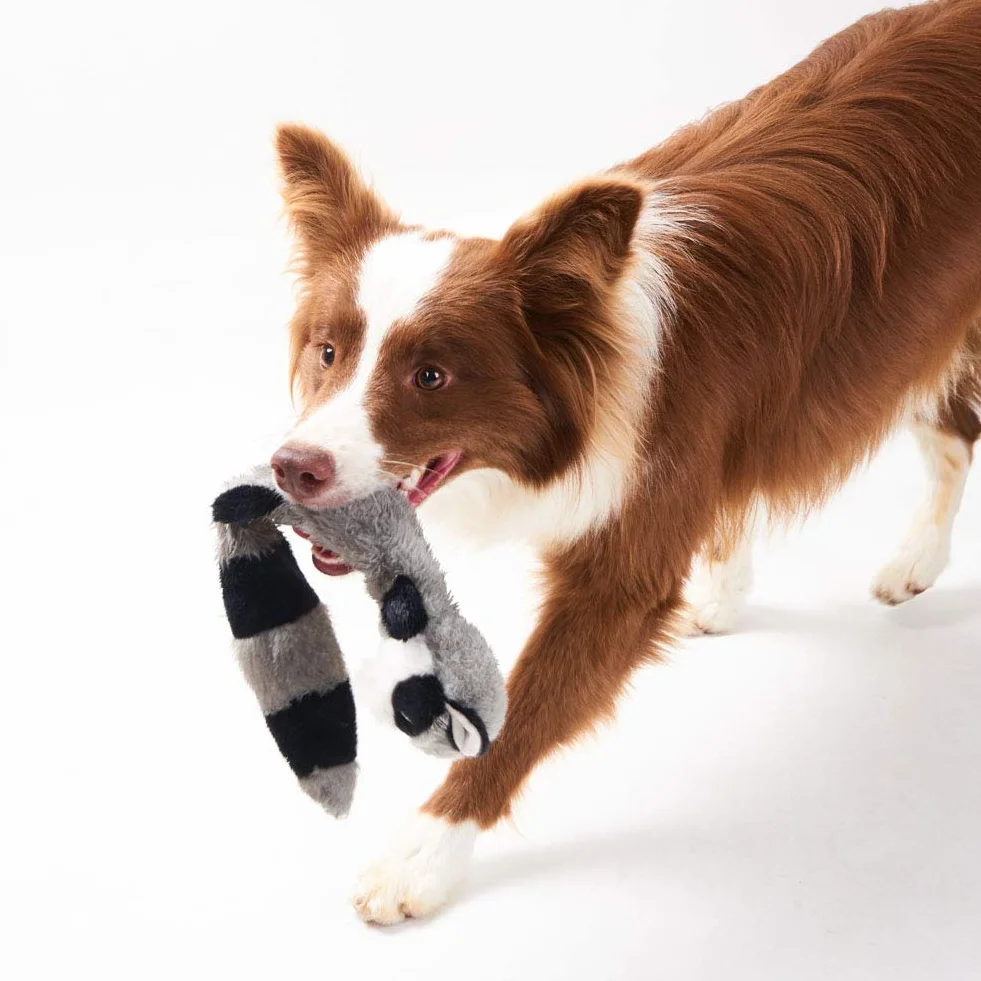 JOYELF Jouet en peluche pour chien qui couine, renard et raton laveur avec papier froissé