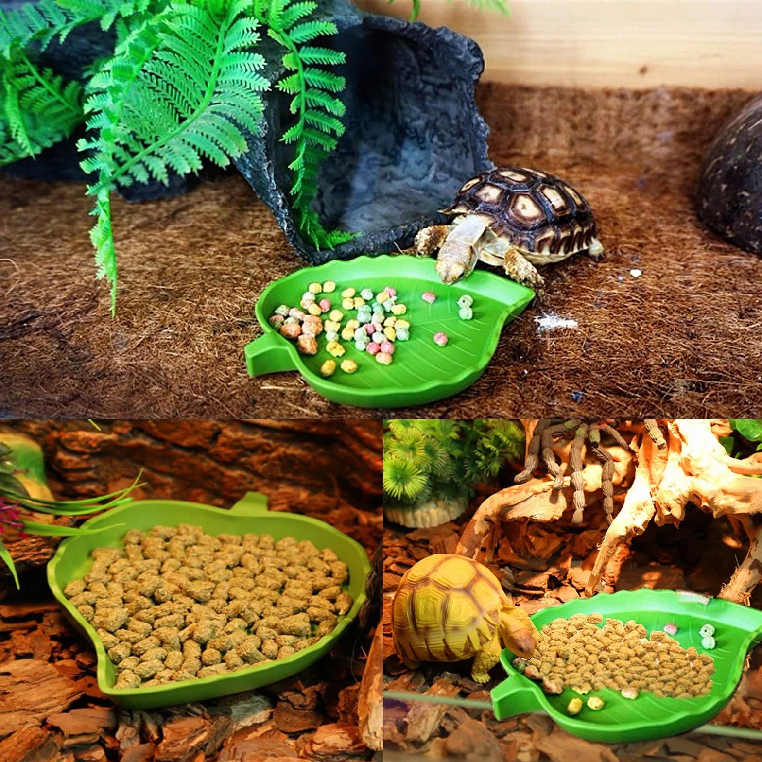 Abreuvoir Tortue Plat Reptile 2 Pièces Bol d'eau pour Petits Animaux Domestiques Lézard Araignée Scorpion Vert