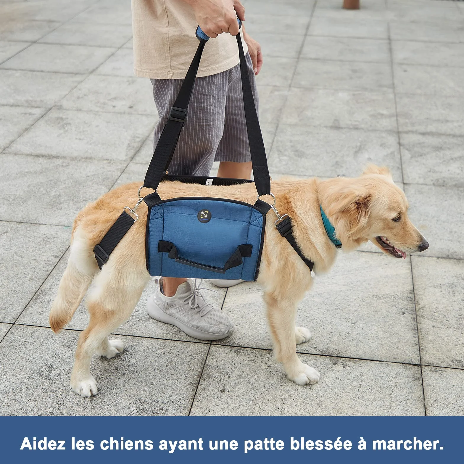 COODEO Porteur pour Chien Sling, Sac à Dos d'urgence pour Soutien des Pattes, Harnais de Levage pour Chiens âgés arthrite (XL, Bleu)