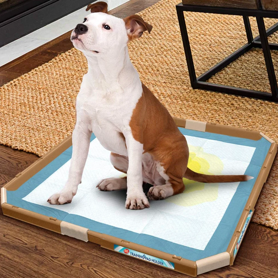 Simple Solution Support de coussin pour chien, plateau de dressage portable pour animaux de compagnie et chiots, 53 x 53 cm