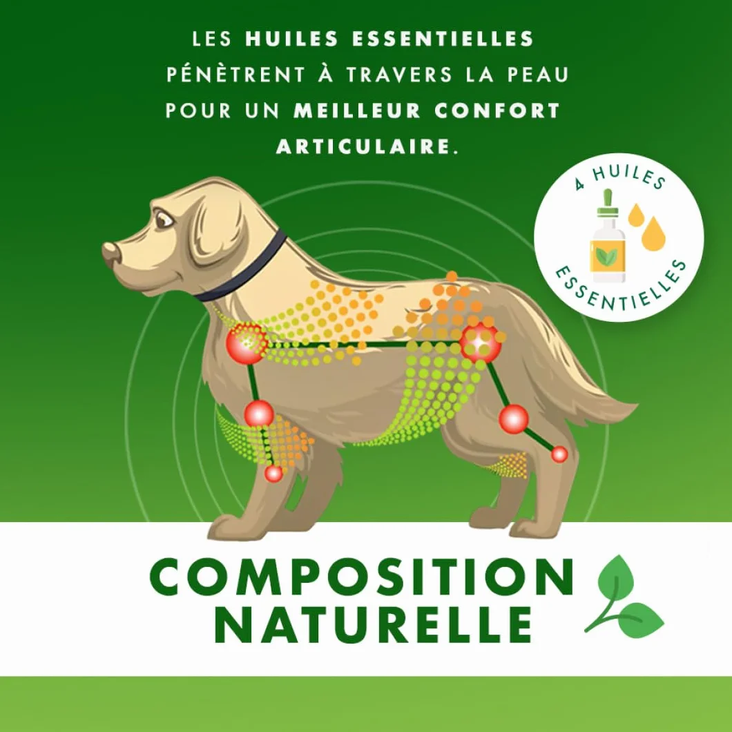 Ceva Yoos Confort Articulaire et Mobilité Collier (70cm) Taille m/l Chien >10kg