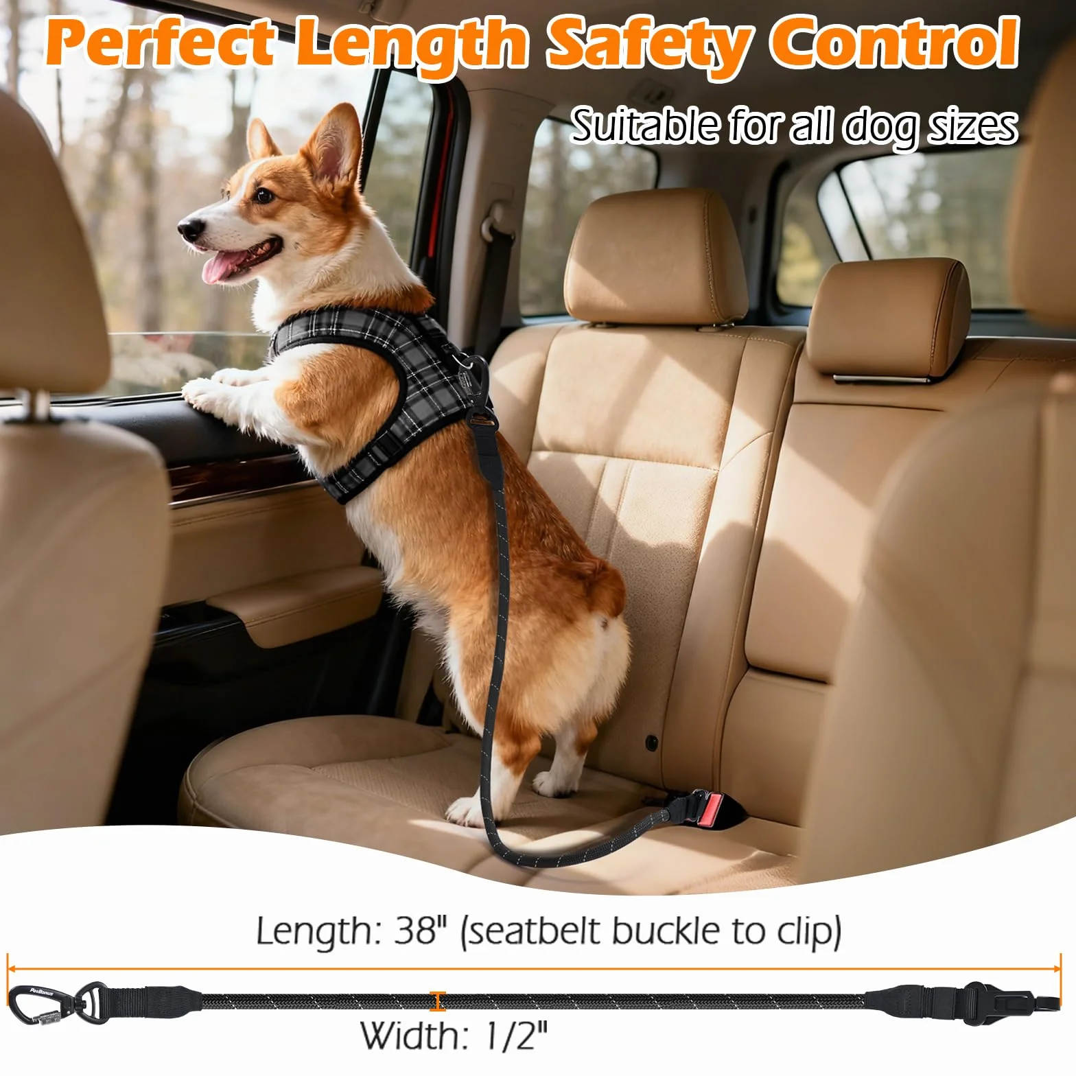 PetBonus Harnais Voiture Chien Ceinture Sécurité Nylon Indéchirable Toutes Tailles Noir
