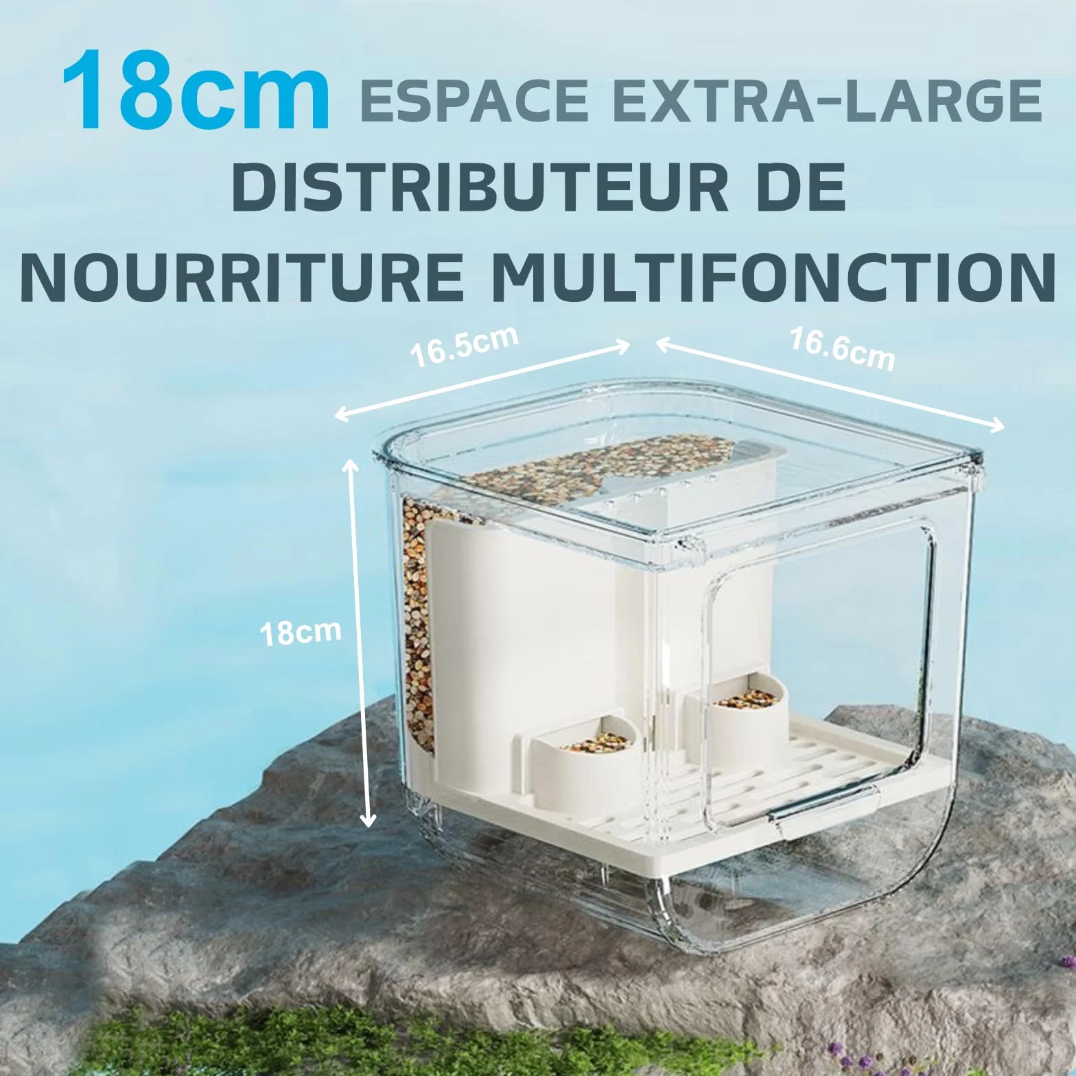 Bain d'oiseaux suspendu pour cage petite et moyenne taille perroquets inséparables pinsons perruches