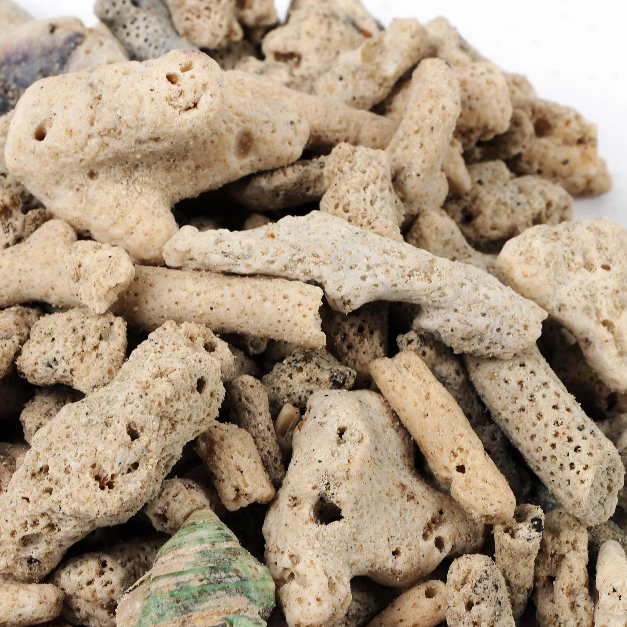 SunSun Sable corallien très Grossier 0,5 kg pour Colonisation de bactéries nitrifiantes Filtre bassins étangs Aquariums