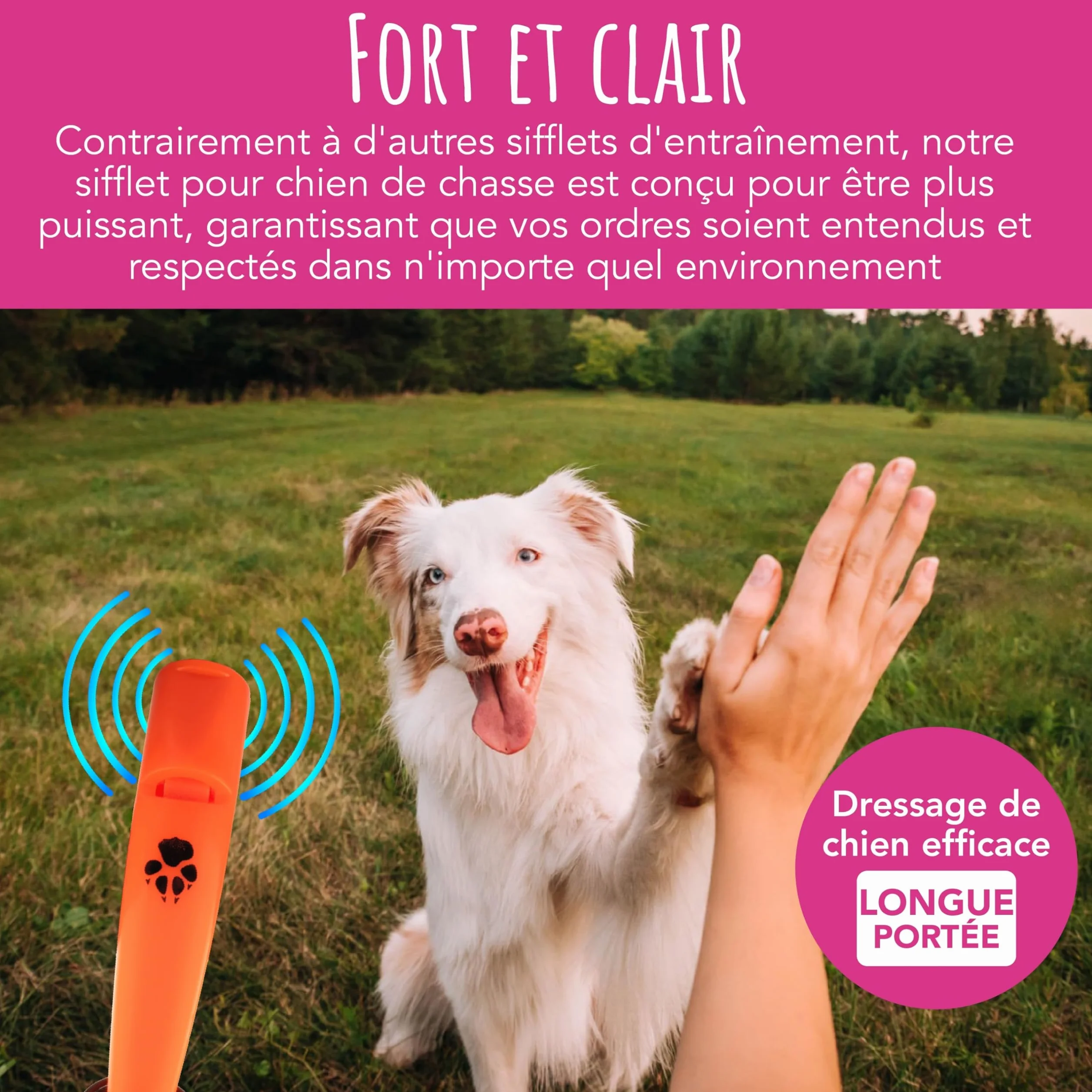 Sifflet d'entraînement pour chien TDL son fort longue portée haute fréquence avec lanière