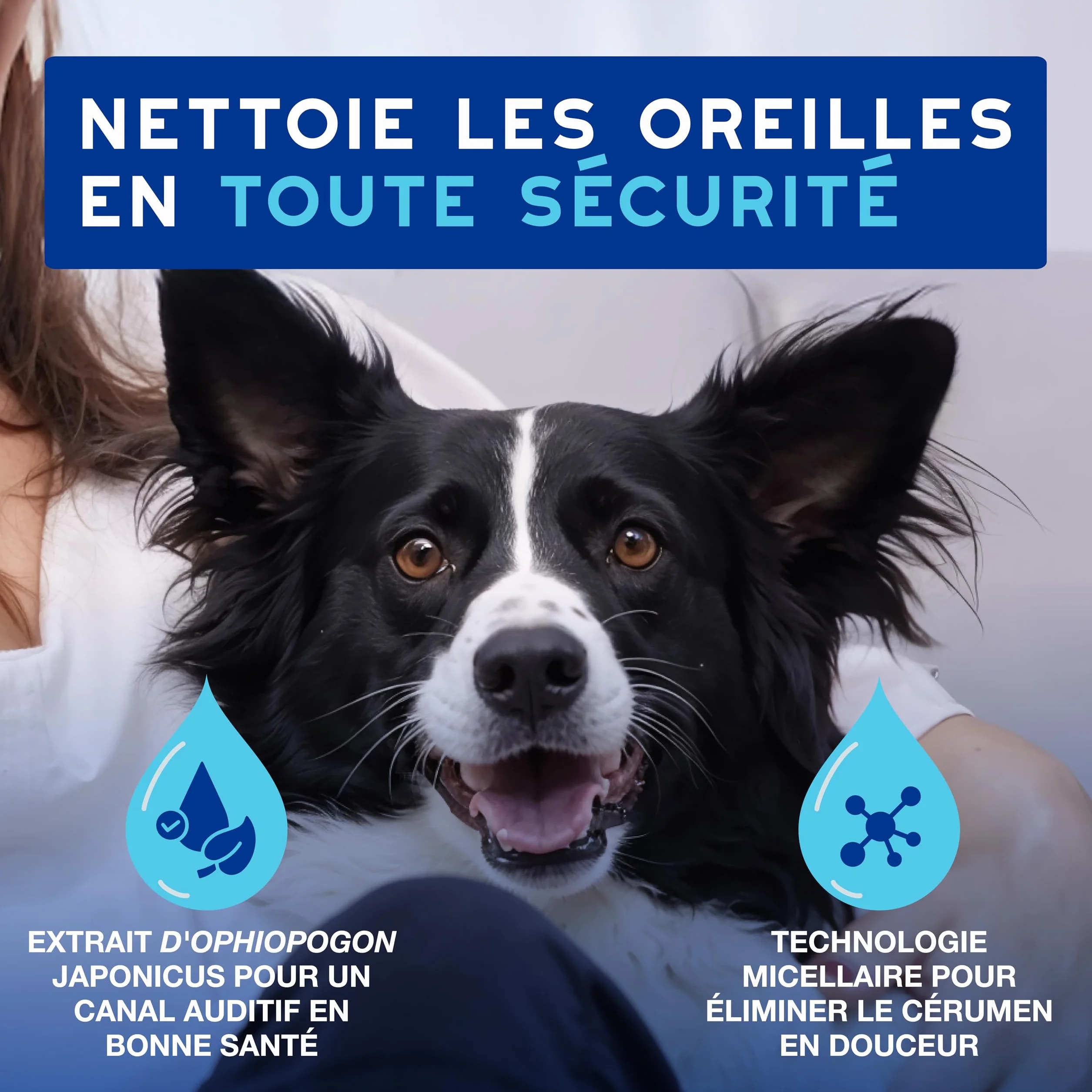 DOUXO Skin & Coat Spa - Ultra-Safe nettoyant auriculaire pour Chiens et Chats, 120 ML, nettoie l'oreille en Toute sécurité, Formule respectueuse de la Peau.