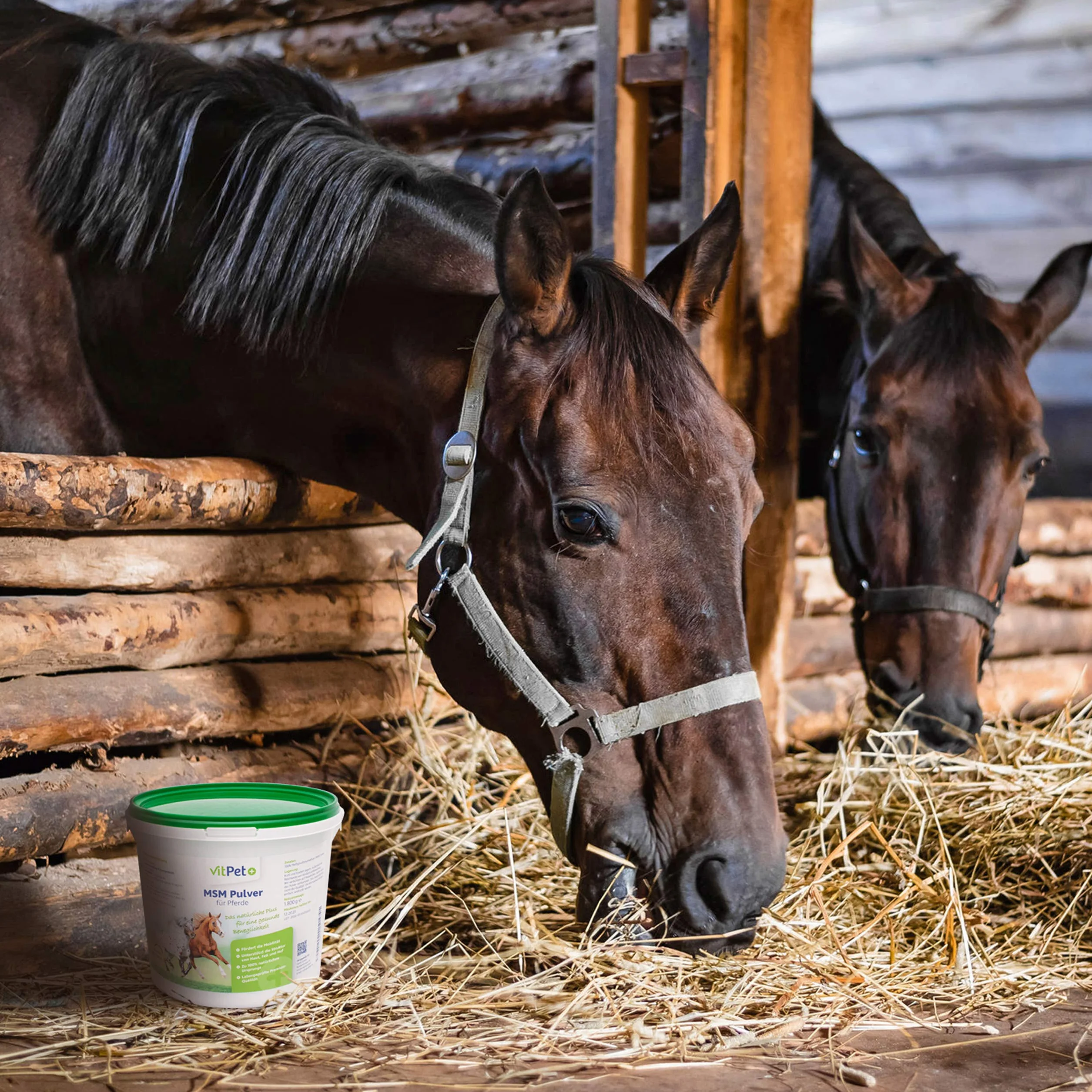 MSM Cheval – Premium MSM Poudre pour chevaux dans un seau de 1,8 kg avec cuillère doseuse (méthylsulfonylméthane / poudre de soufre pour chevaux et chiens)