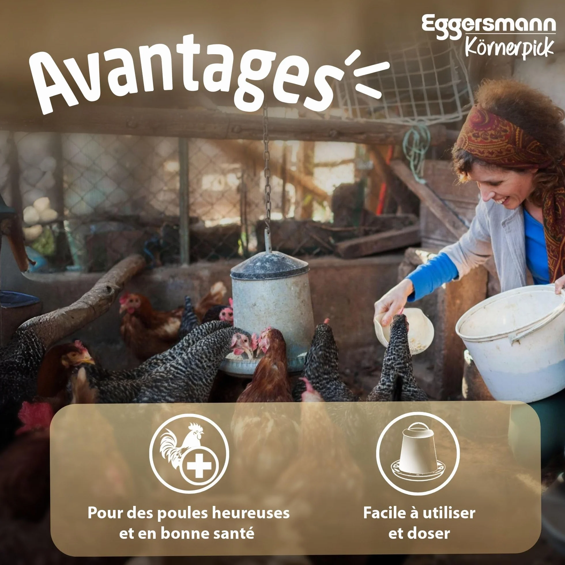 Eggersmann Körnerpick 25kg Premium Nourriture Poule - Aliments pour volailles - Graines Poule