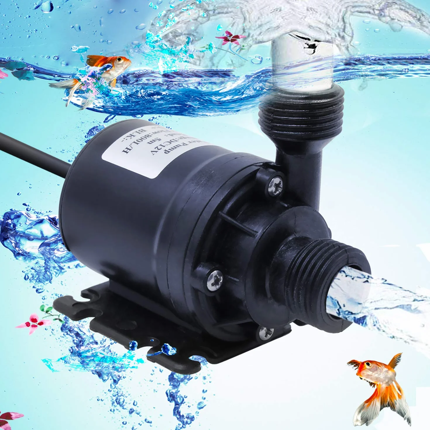 Pompe amphibie DC 12V 800L/H 5M submersible pour eau de piscine fontaine aquarium étang