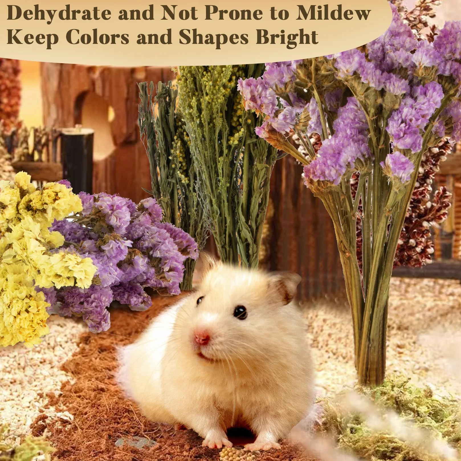 Sukh Lot de 60 sprays naturels pour hamster - Pour hamsters nains syriens, gerbilles, lapins, autres animaux domestiques