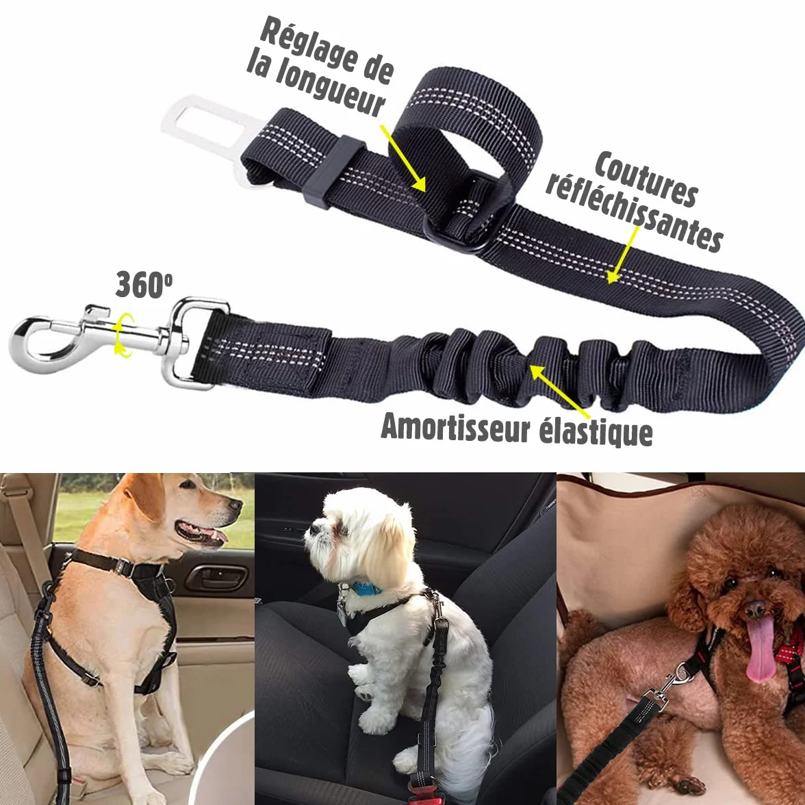 Harnais Voiture pour Chien Noir avec Absorption de Chocs - Ceinture de Sécurité pour Chien
