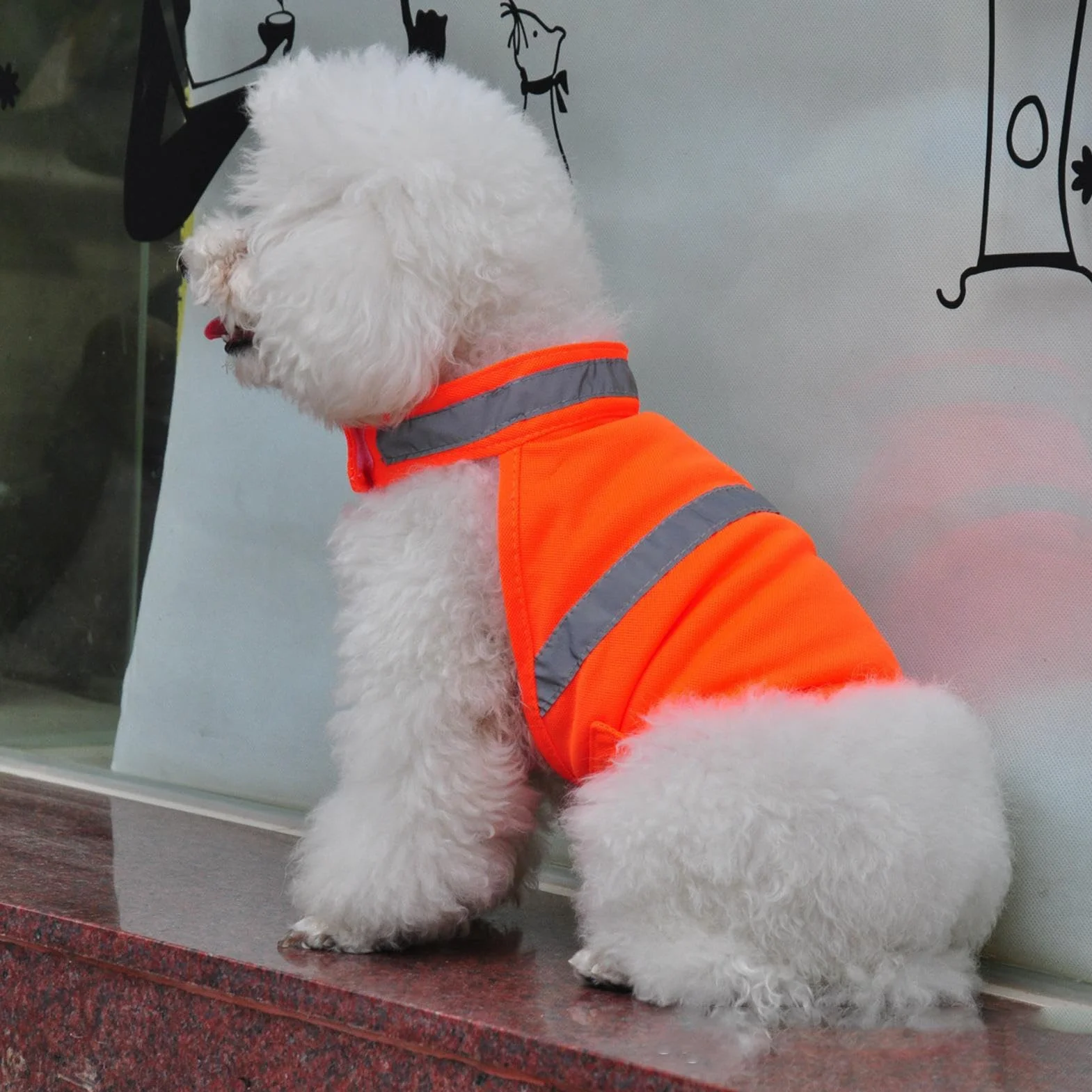 Gilet de sécurité pour Chien Orange Fluorescent Réfléchissant Respirant