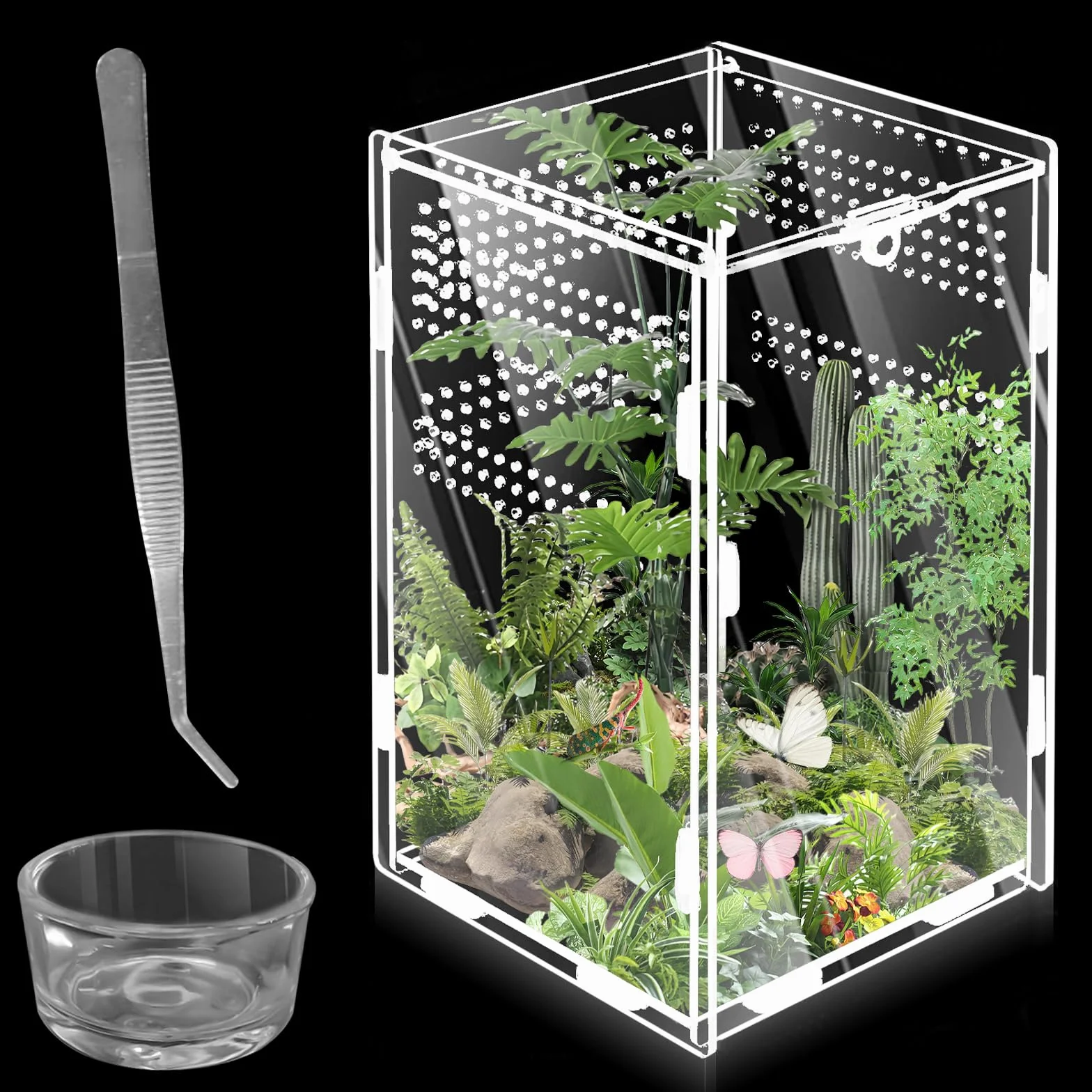 Terrarium à escargots 360° en acrylique WIYETY Mini terrarium transparent pour reptile (20 x 12 x 12 cm)