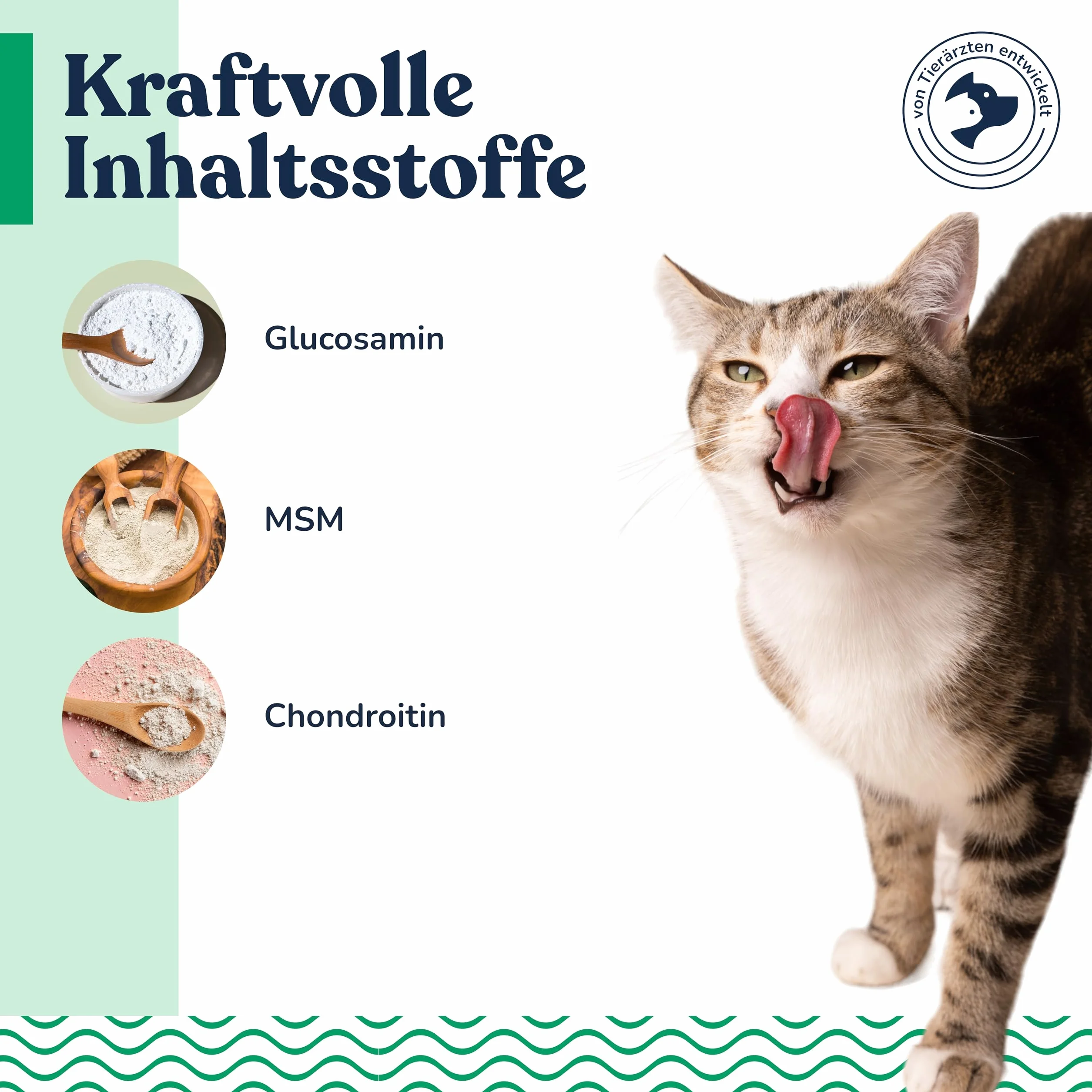 Felmo Pâte Osseuse et Articulaire pour Chats 100 g Flexibilité Liberté de Mouvement