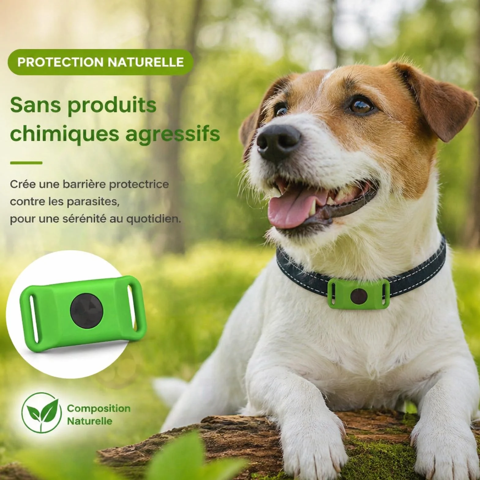 Pendentif Everly Chien - Nouveau Pendentif antiparasitaire Naturel pour Animaux 2026, Médaille de Collier Longue durée pour Une Protection Quotidienne, conçu pour Le Confort des promenades (Green)