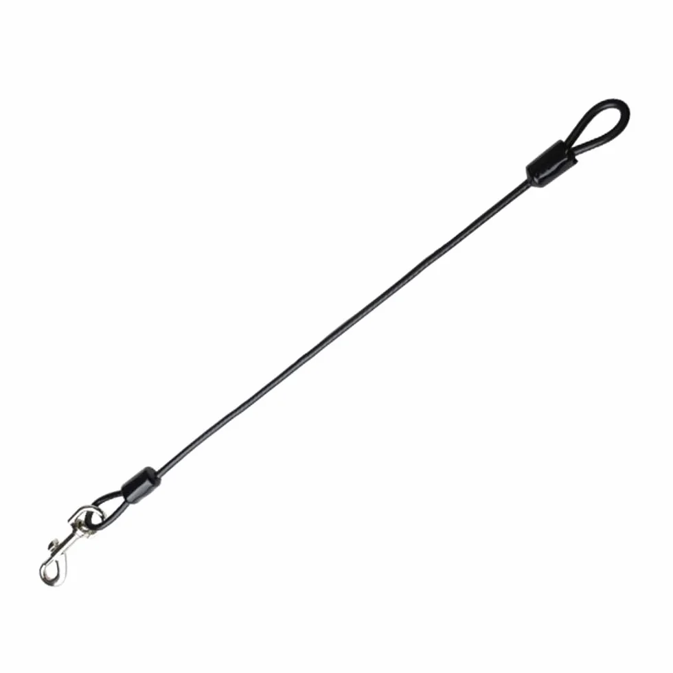 Laisse pour Chien Résistante Mastication Corde en Acier pour Petit Moyen Grand Chien Plein Air Marche Course