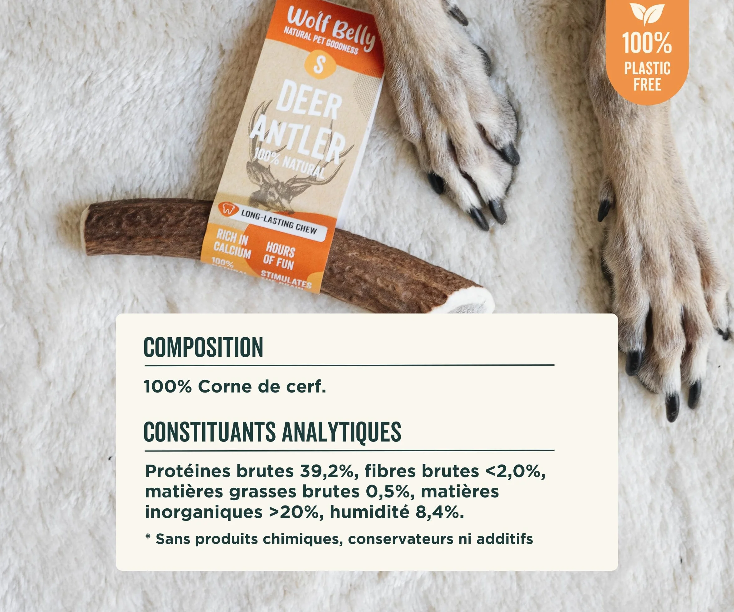 Bois de Cerf pour Chiens 100% Naturel Taille S Corne Durable Résistante Réduit Tartre Plaque Riche Calcium Protéines Inodore Fabriqué Europe