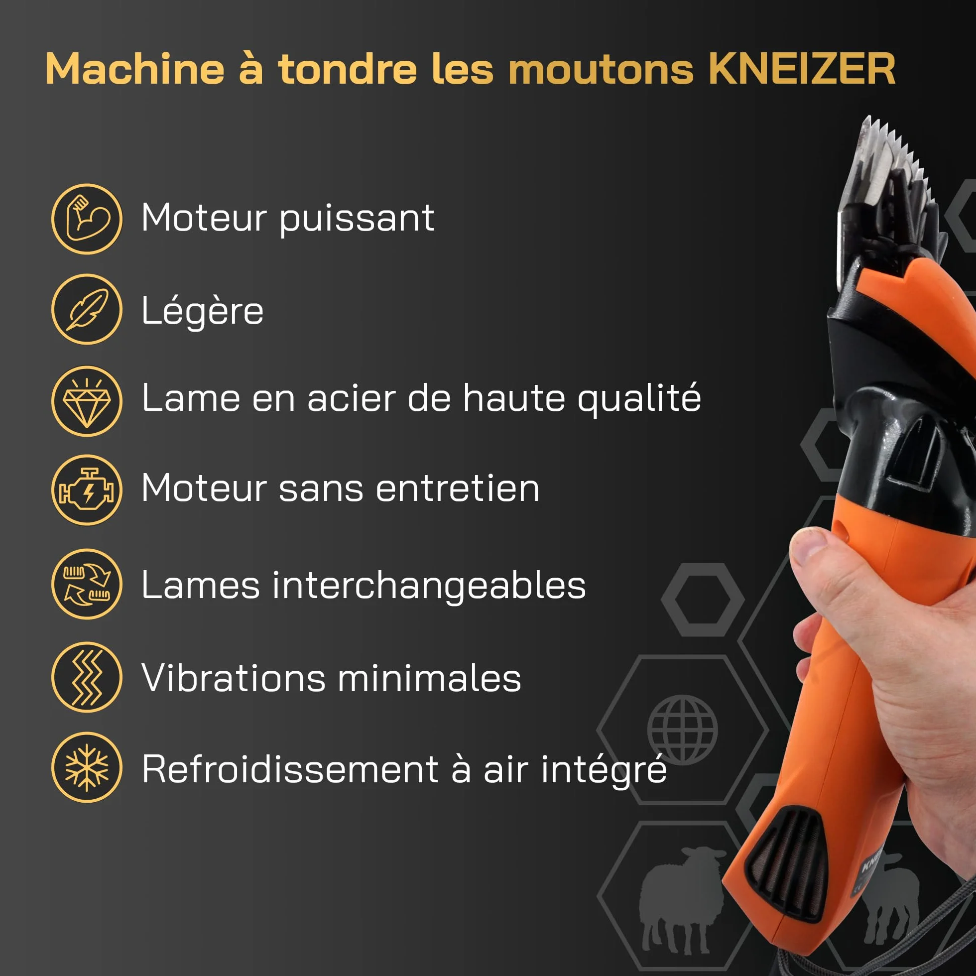 KNEIZER Tondeuse Électrique pour Moutons Kit Complet Lames Remplaçables Moteur Puissant