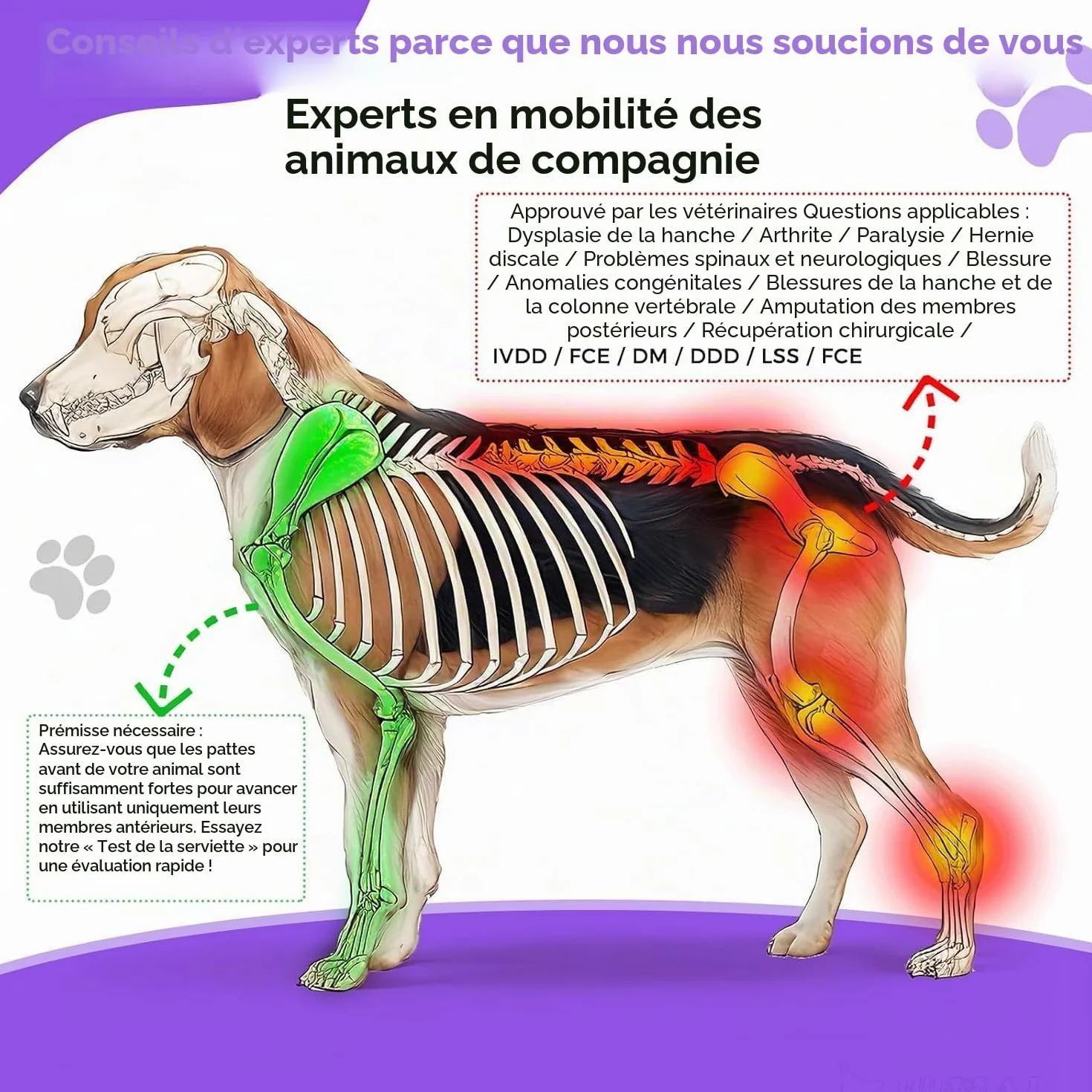 Fauteuil roulant pour chien pour pattes arrière - Fauteuil roulant pour chien