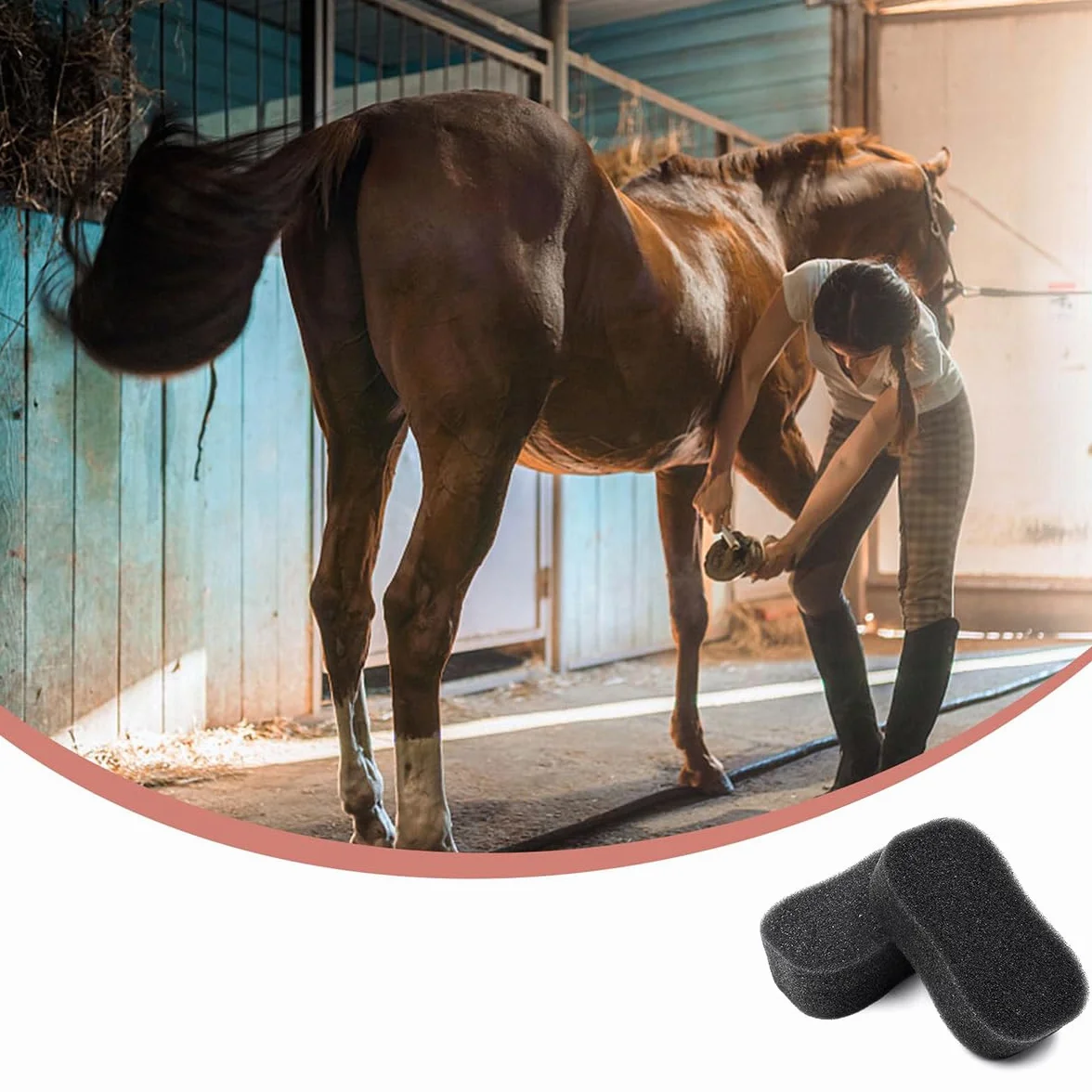 Lot de 6 éponges de toilettage pour chevaux - Nettoyage et épilation du pelage - Éponge noire pour le bain