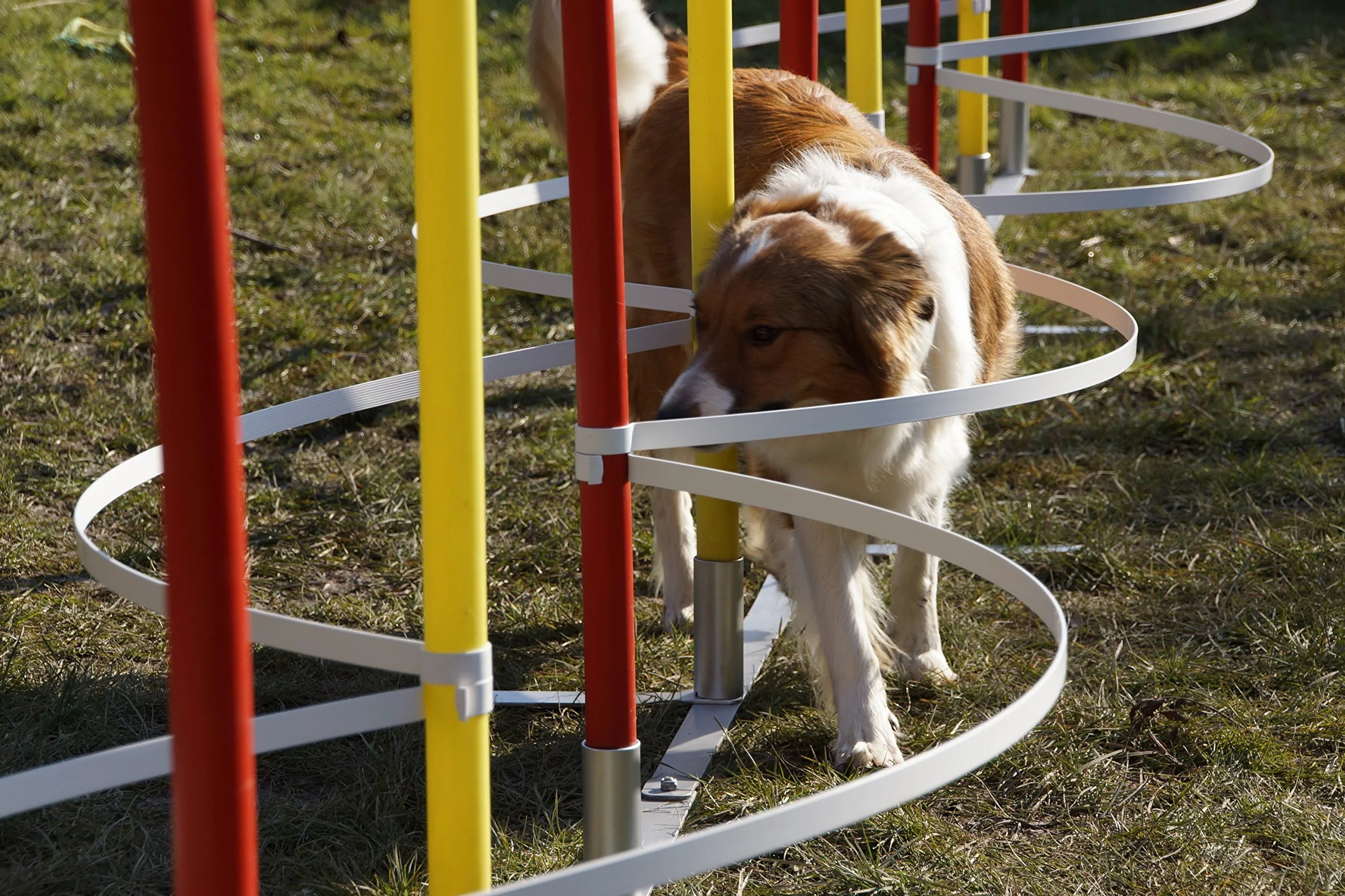 ARCS Slalom Agility/ARCS d'entrainement pour DIAMÈTRE Barre Slalom 30mm - 34mm, sans Barres