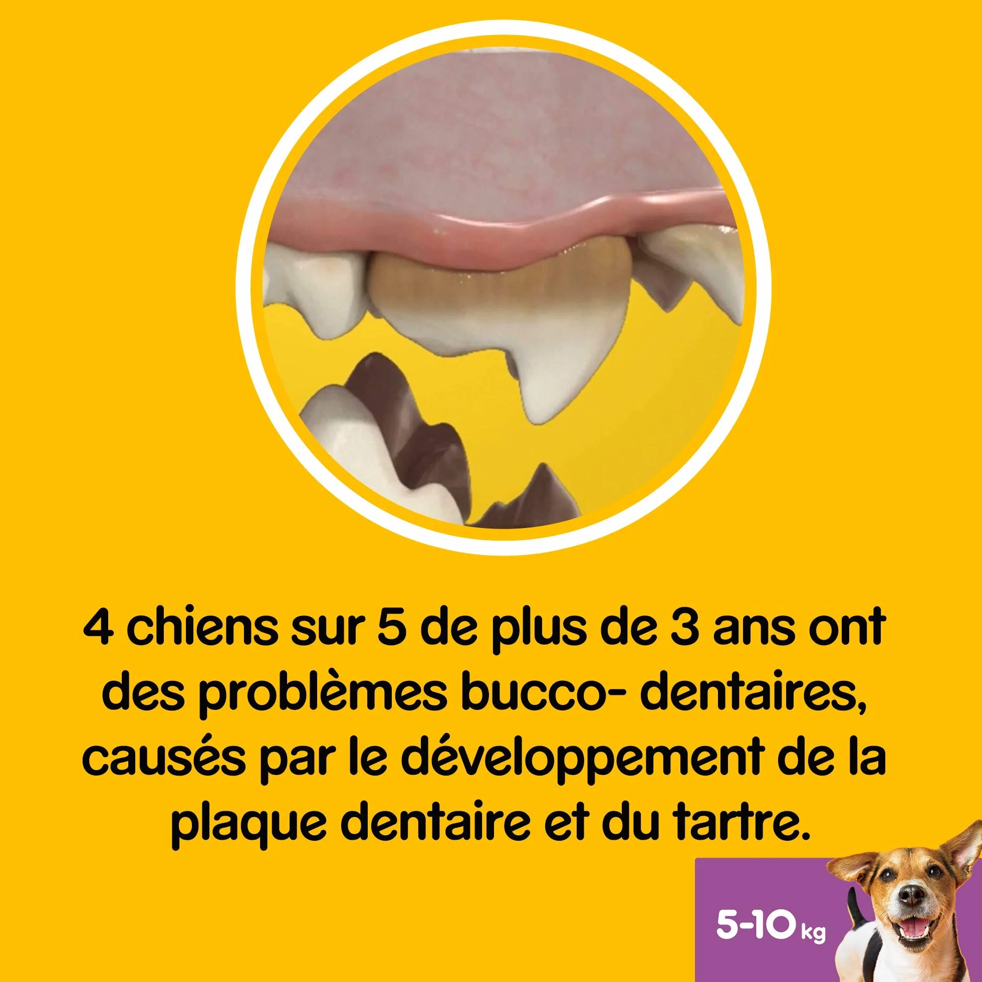 Pedigree Dentastix Friandises pour petit chien 56 bâtonnets hygiène bucco-dentaire 880 g