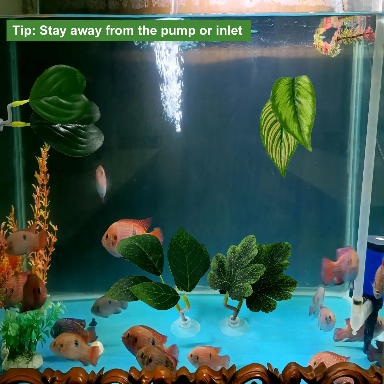 Feuilles Betta, 4 Styles Feuille Repos Betta avec Ventouse Décoration Aquarium