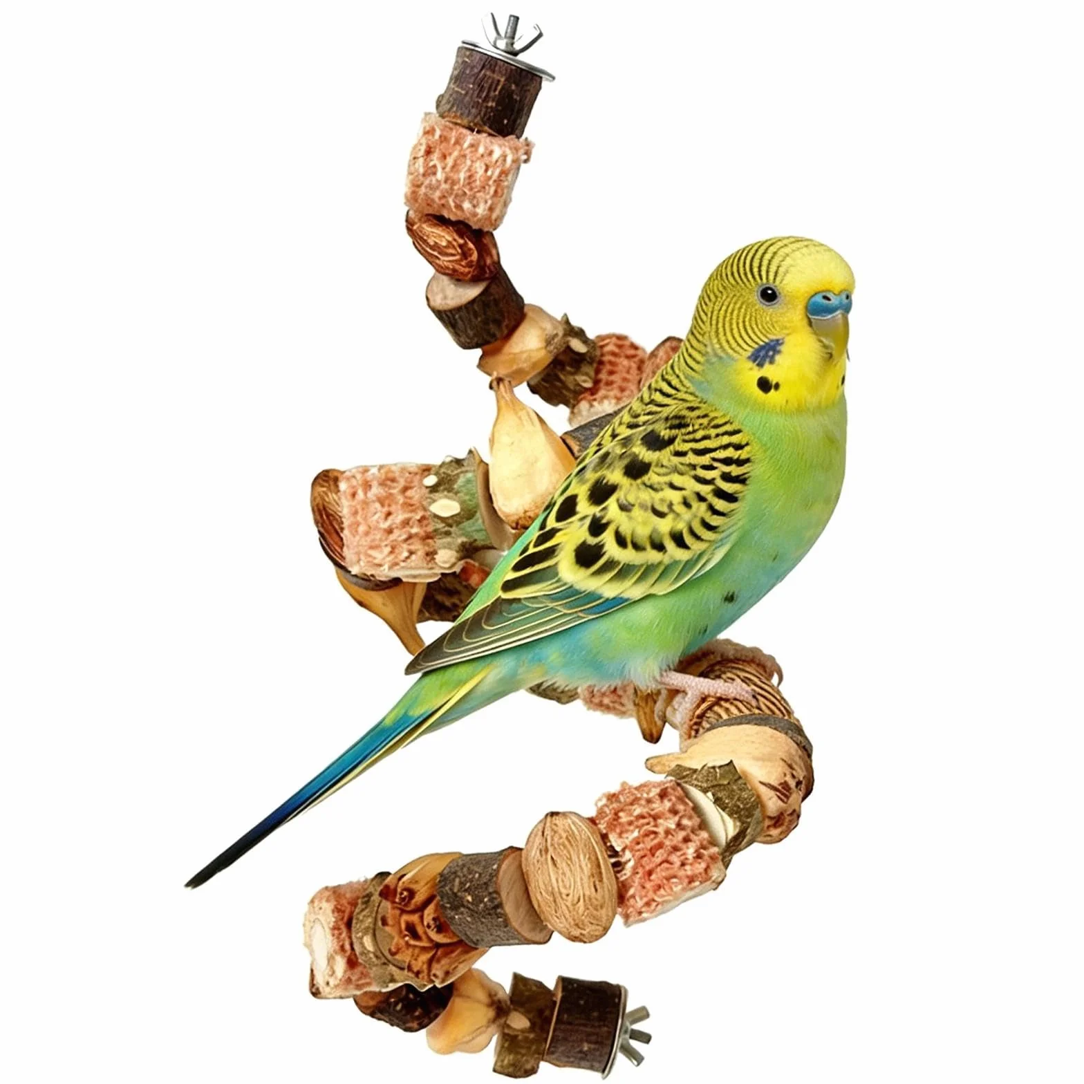Perchoir Perroquet Jouet 50 cm Oiseaux Jouets à Mâcher Suspendre Perruches Inséparables Pinsons