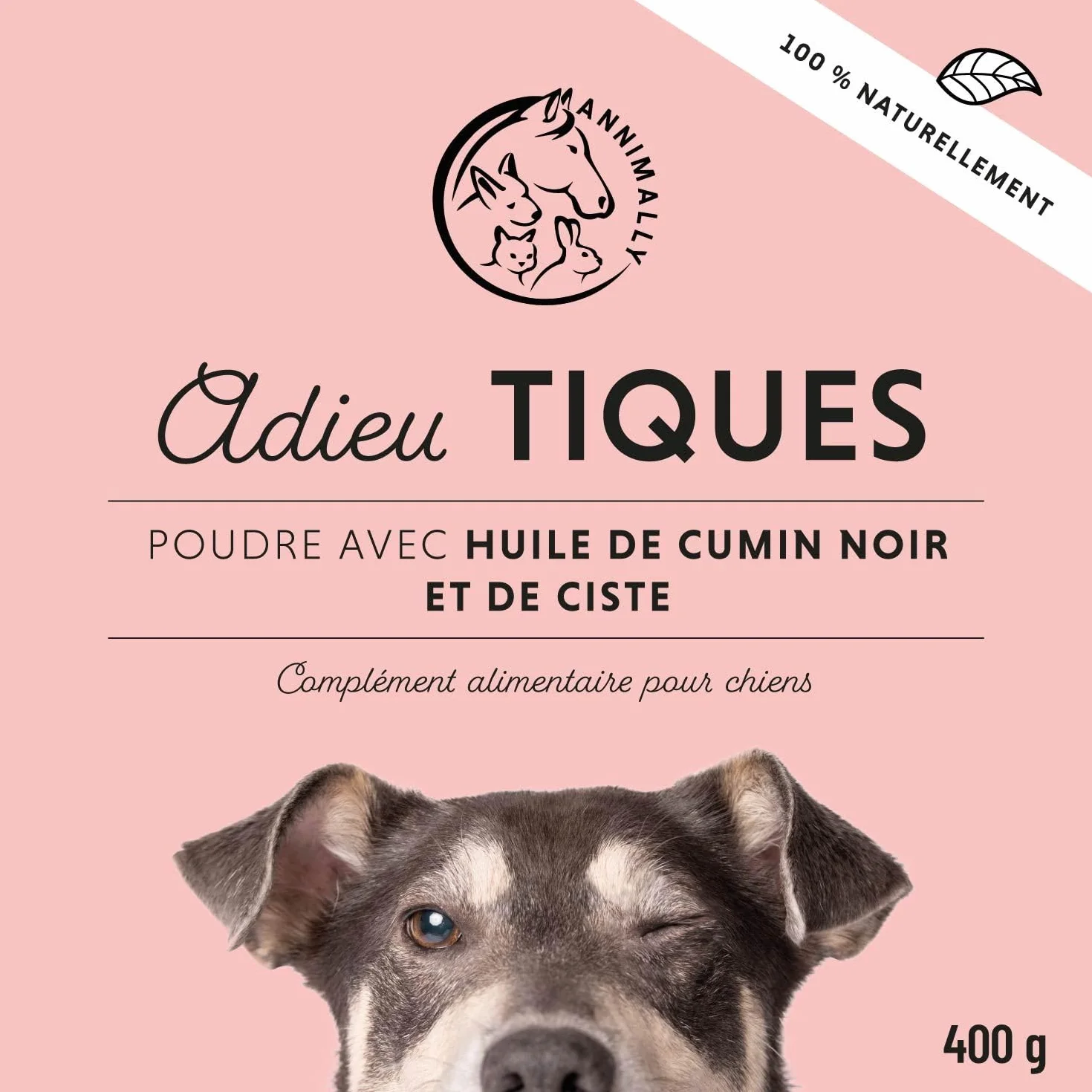Annimally Adieu Tiques Poudre Chiens 400g Huile Cumin Noir Ciste Levure Bière Algues Marines Alternative Comprimés