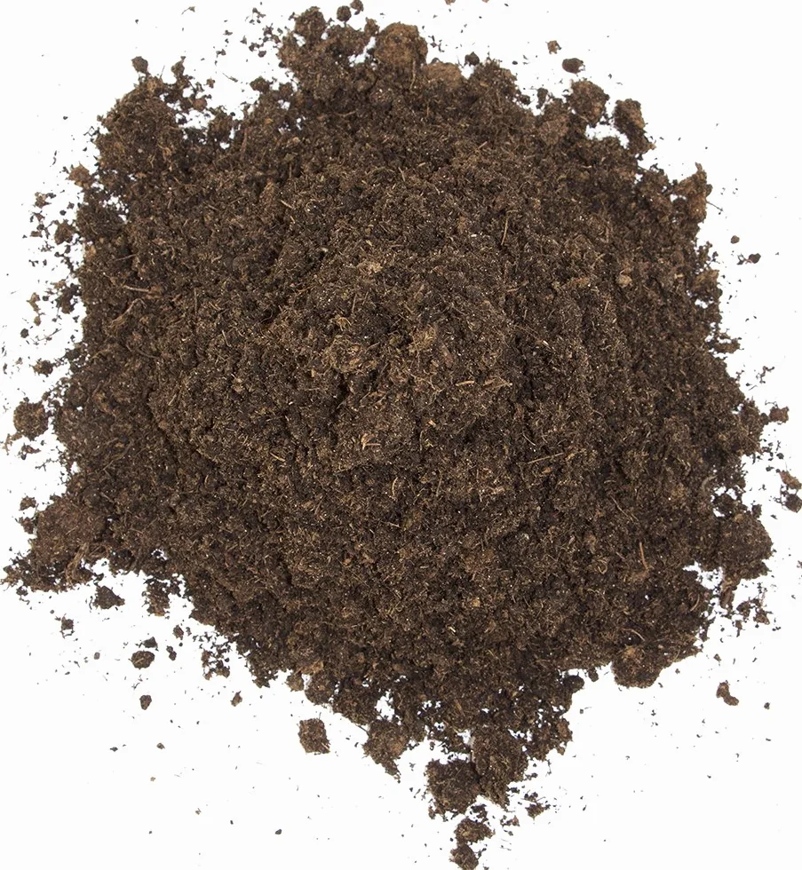 Floragard Substrat pour tortues et terrariums 20 L